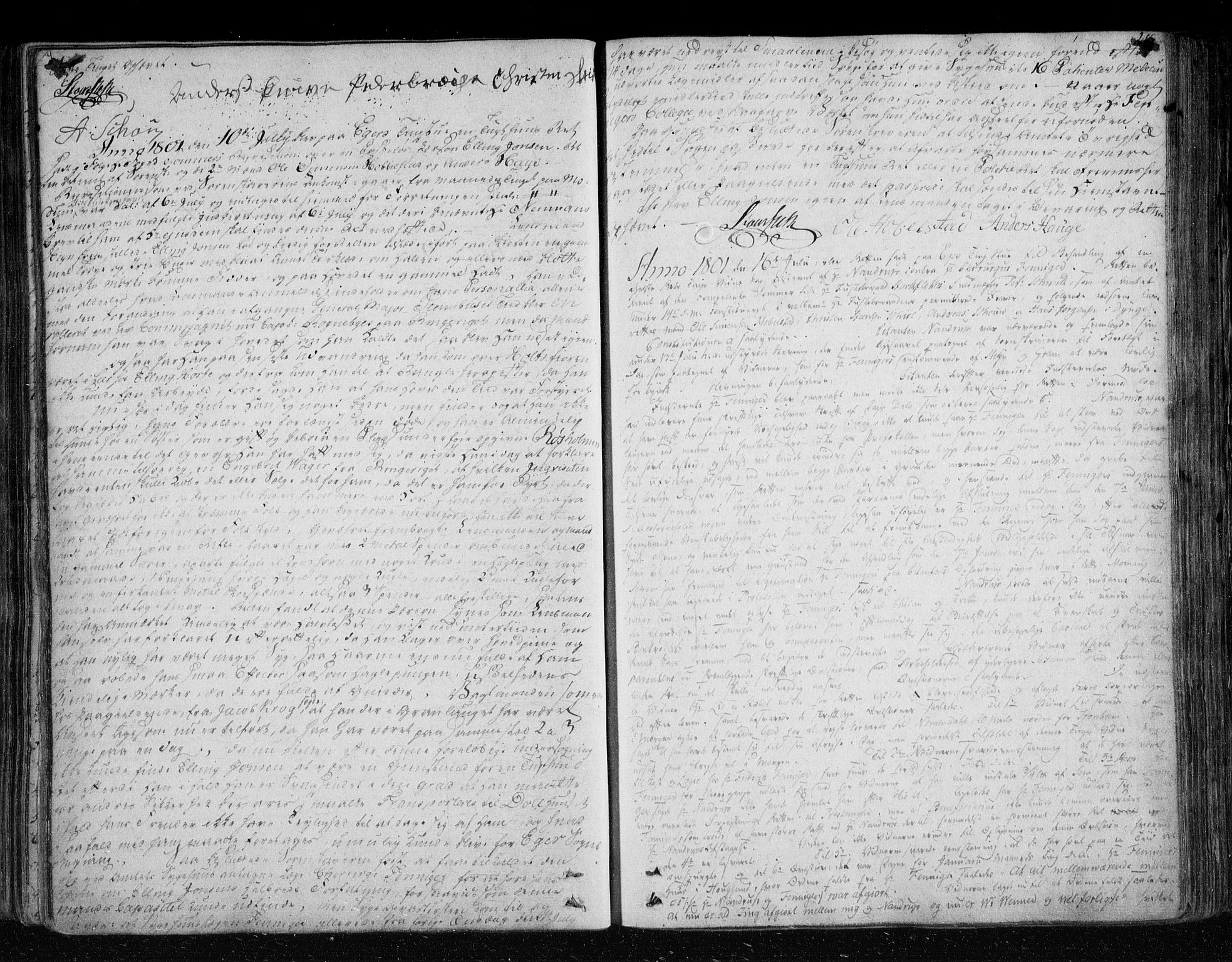 Eiker, Modum og Sigdal sorenskriveri, SAKO/A-123/F/Fa/Fab/L0013: Tingbok, 1796-1804, s. 215
