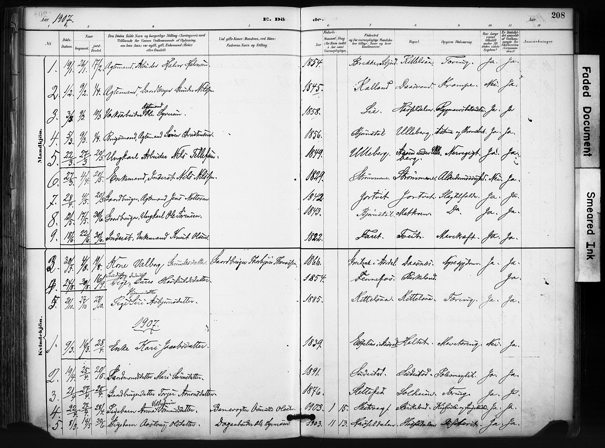 Evje sokneprestkontor, AV/SAK-1111-0008/F/Fa/Fab/L0003: Ministerialbok nr. A 3, 1884-1909, s. 208
