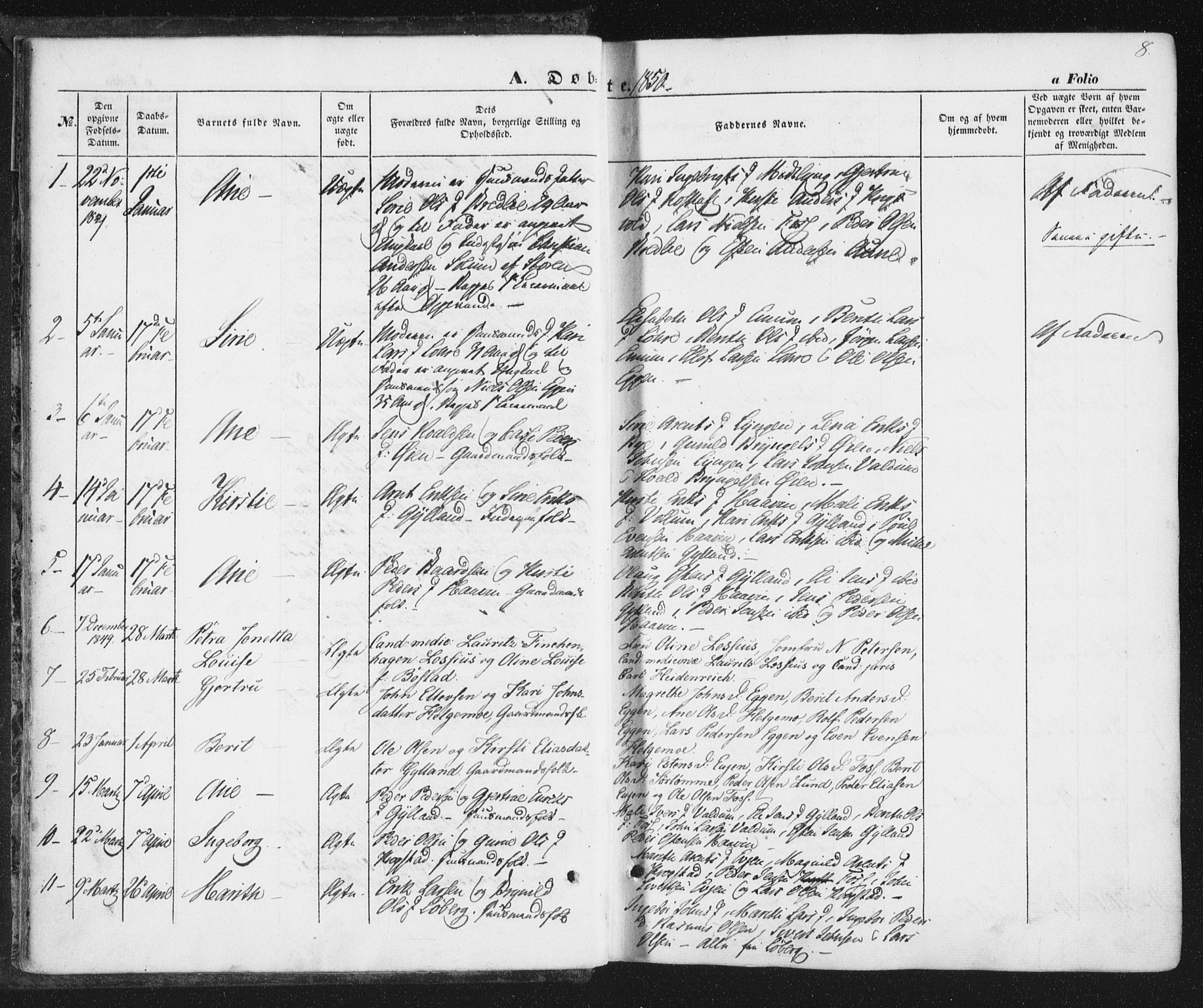 Ministerialprotokoller, klokkerbøker og fødselsregistre - Sør-Trøndelag, AV/SAT-A-1456/692/L1103: Ministerialbok nr. 692A03, 1849-1870, s. 8