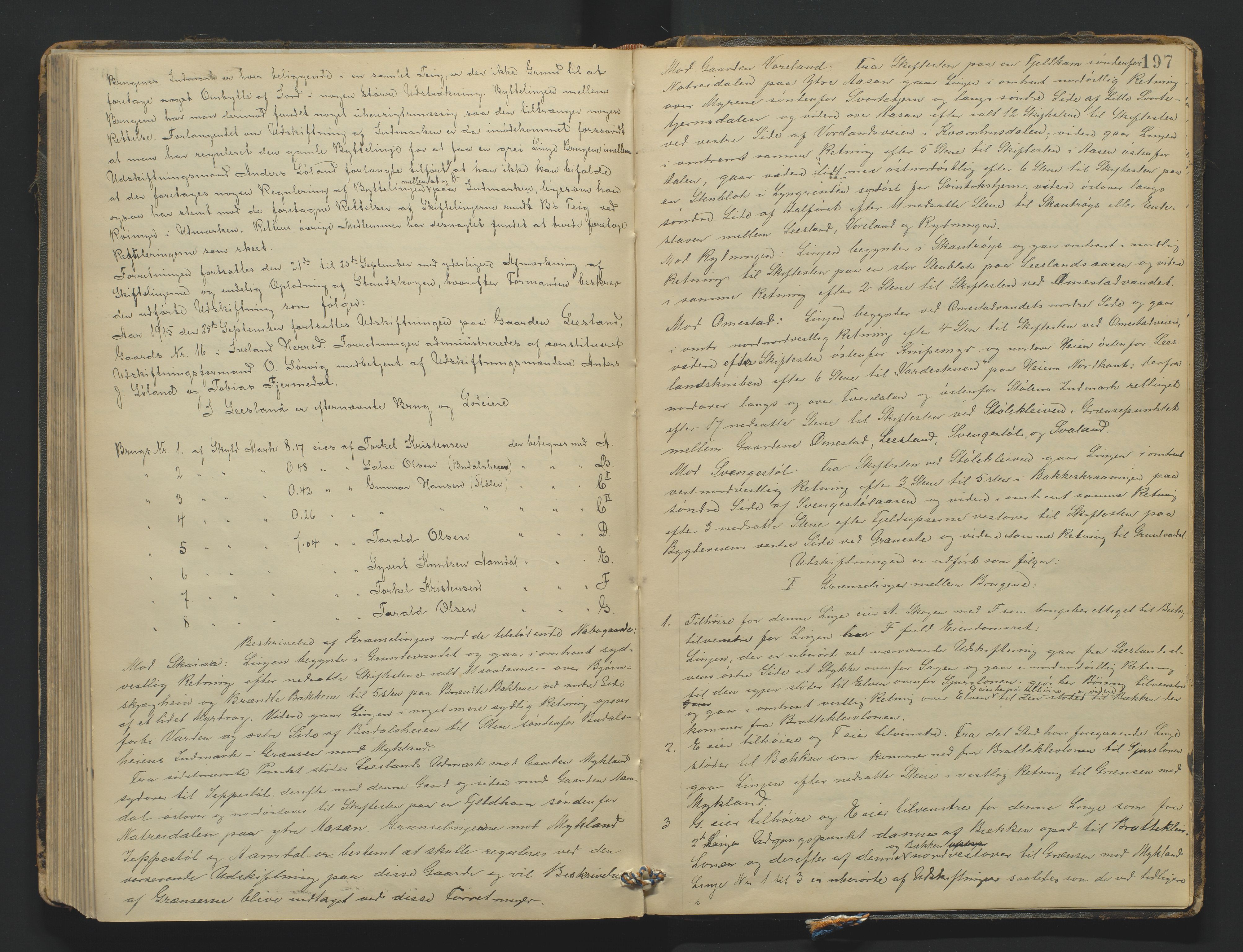 Utskiftningsformannen i Nedenes amt, AV/SAK-1541-0002/F/Fa/Fac/L0001: Jordskifteprotokoll med register, Setesdal domssokn nr 1, 1910-1915, s. 196b-197a