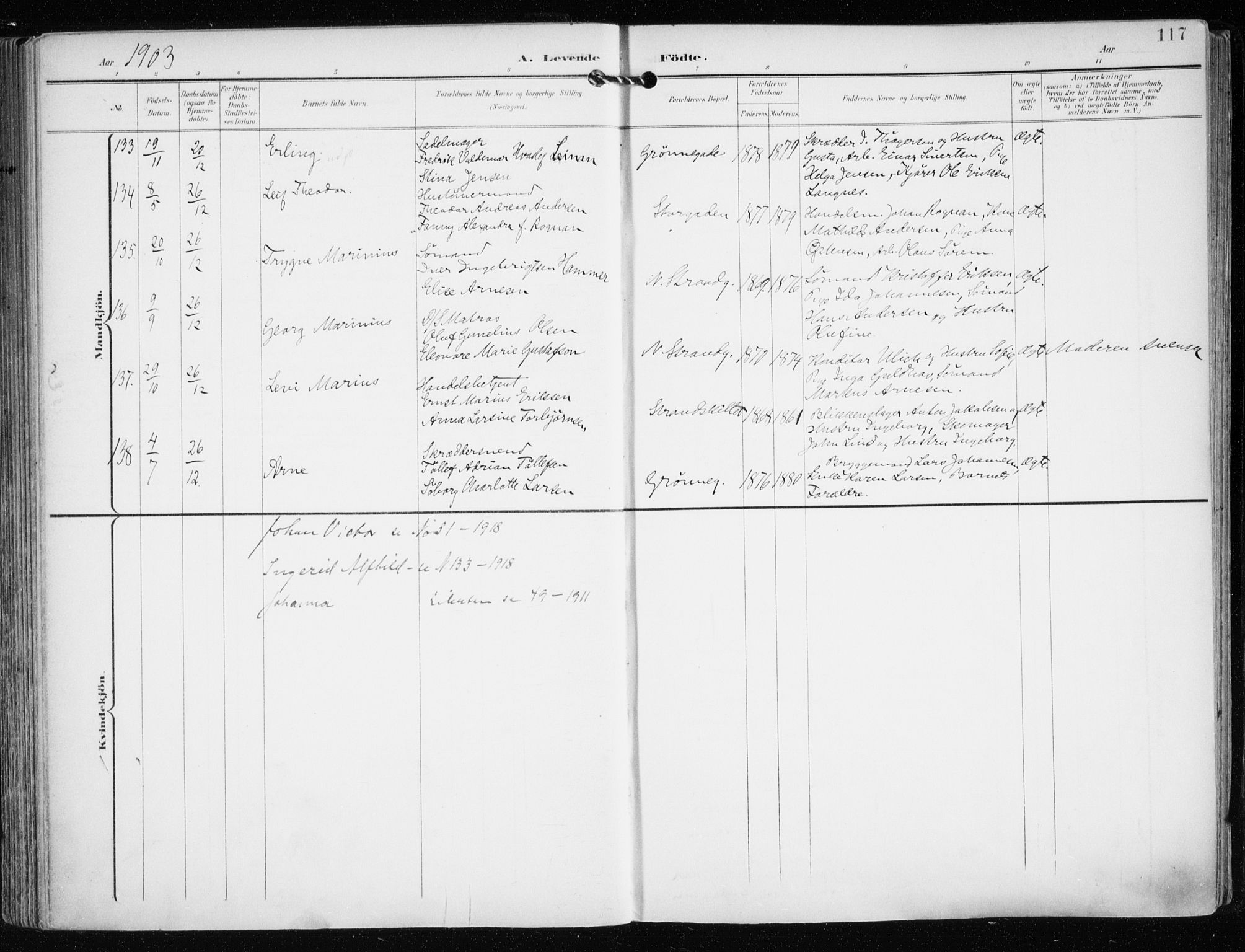 Tromsø sokneprestkontor/stiftsprosti/domprosti, AV/SATØ-S-1343/G/Ga/L0016kirke: Ministerialbok nr. 16, 1899-1906, s. 117