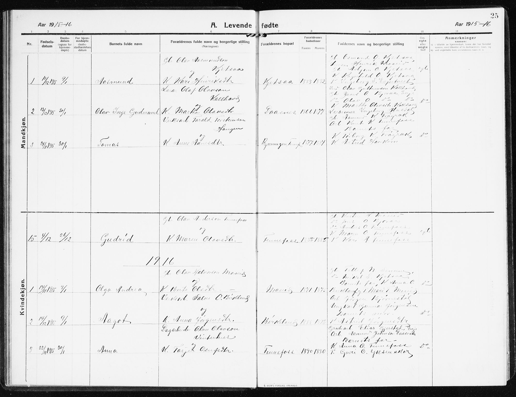Evje sokneprestkontor, AV/SAK-1111-0008/F/Fb/Fbb/L0003: Klokkerbok nr. B 3, 1910-1933, s. 25