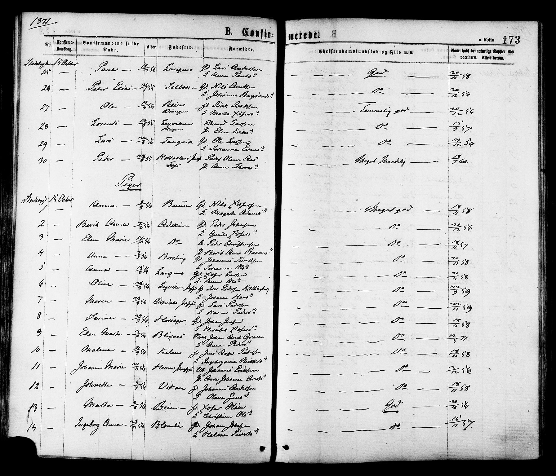 Ministerialprotokoller, klokkerbøker og fødselsregistre - Sør-Trøndelag, SAT/A-1456/646/L0613: Ministerialbok nr. 646A11, 1870-1884, s. 173