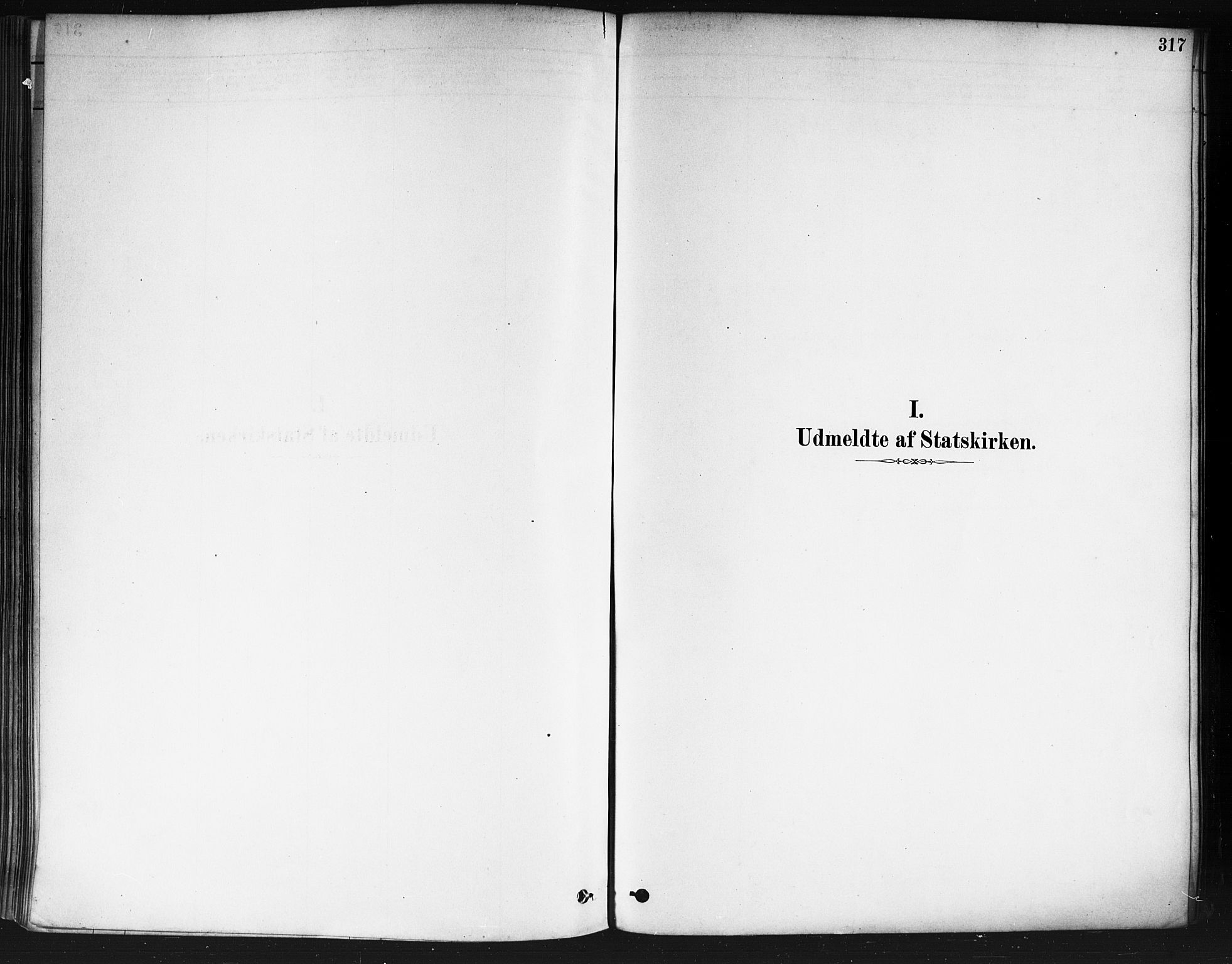 Nedre Eiker kirkebøker, SAKO/A-612/F/Fa/L0002: Ministerialbok nr. 2, 1878-1885, s. 317