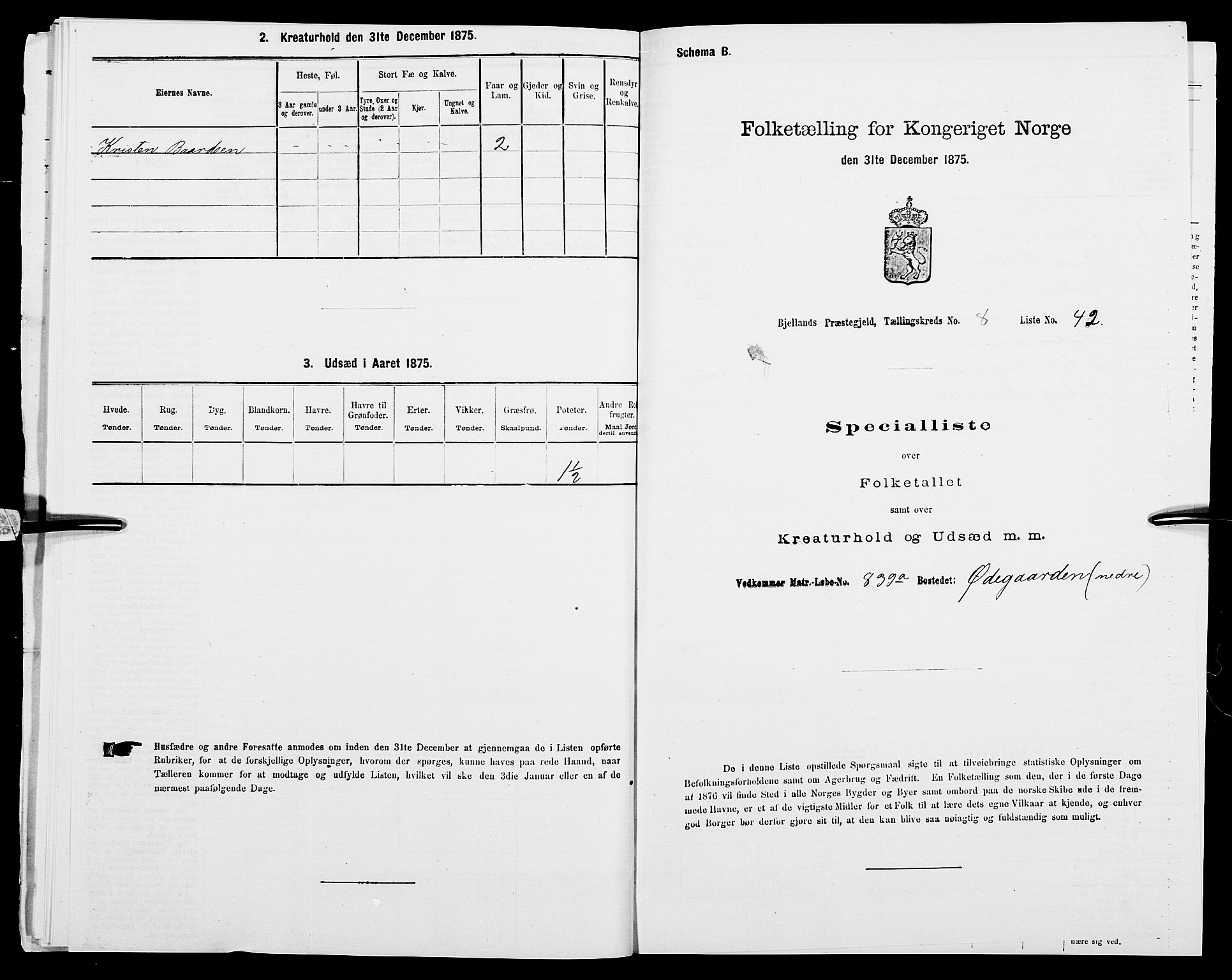 SAK, Folketelling 1875 for 1024P Bjelland prestegjeld, 1875, s. 976