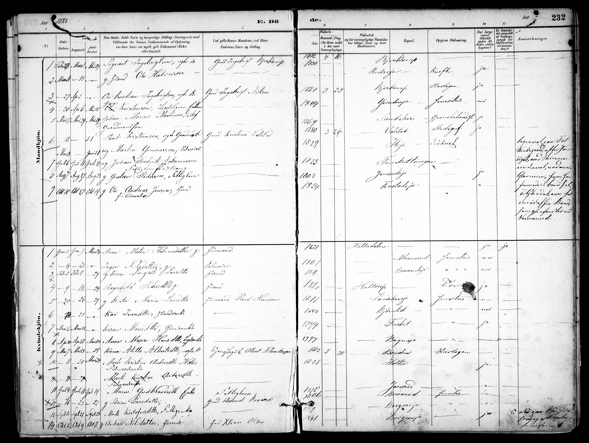 Nes prestekontor Kirkebøker, AV/SAO-A-10410/F/Fb/L0002: Ministerialbok nr. II 2, 1883-1918, s. 232