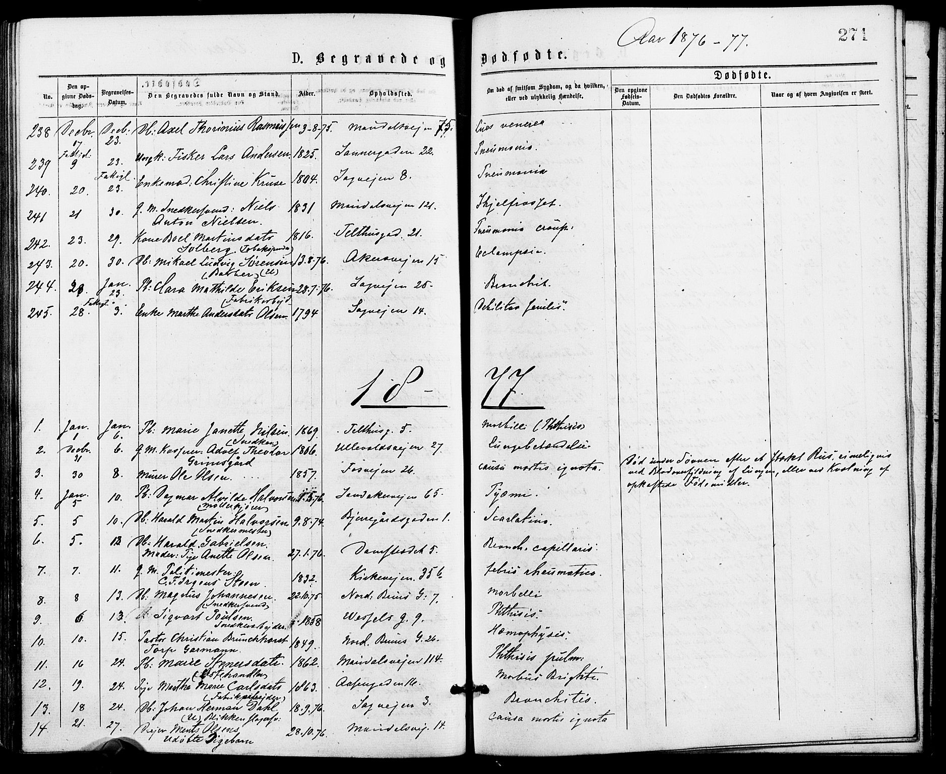 Gamle Aker prestekontor Kirkebøker, AV/SAO-A-10617a/G/L0004: Klokkerbok nr. 4, 1875-1879, s. 271