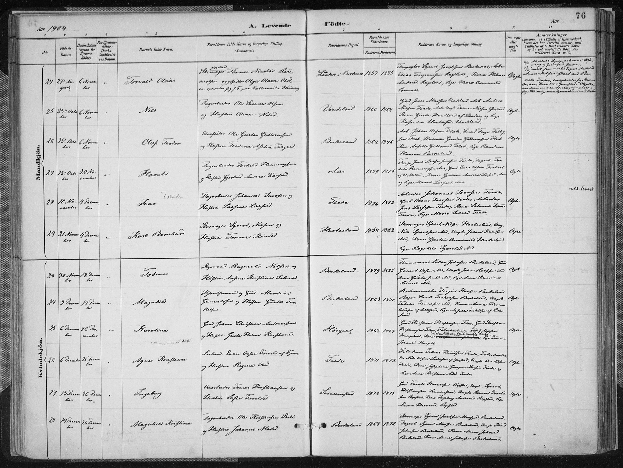 Birkenes sokneprestkontor, AV/SAK-1111-0004/F/Fa/L0005: Ministerialbok nr. A 5, 1887-1907, s. 76