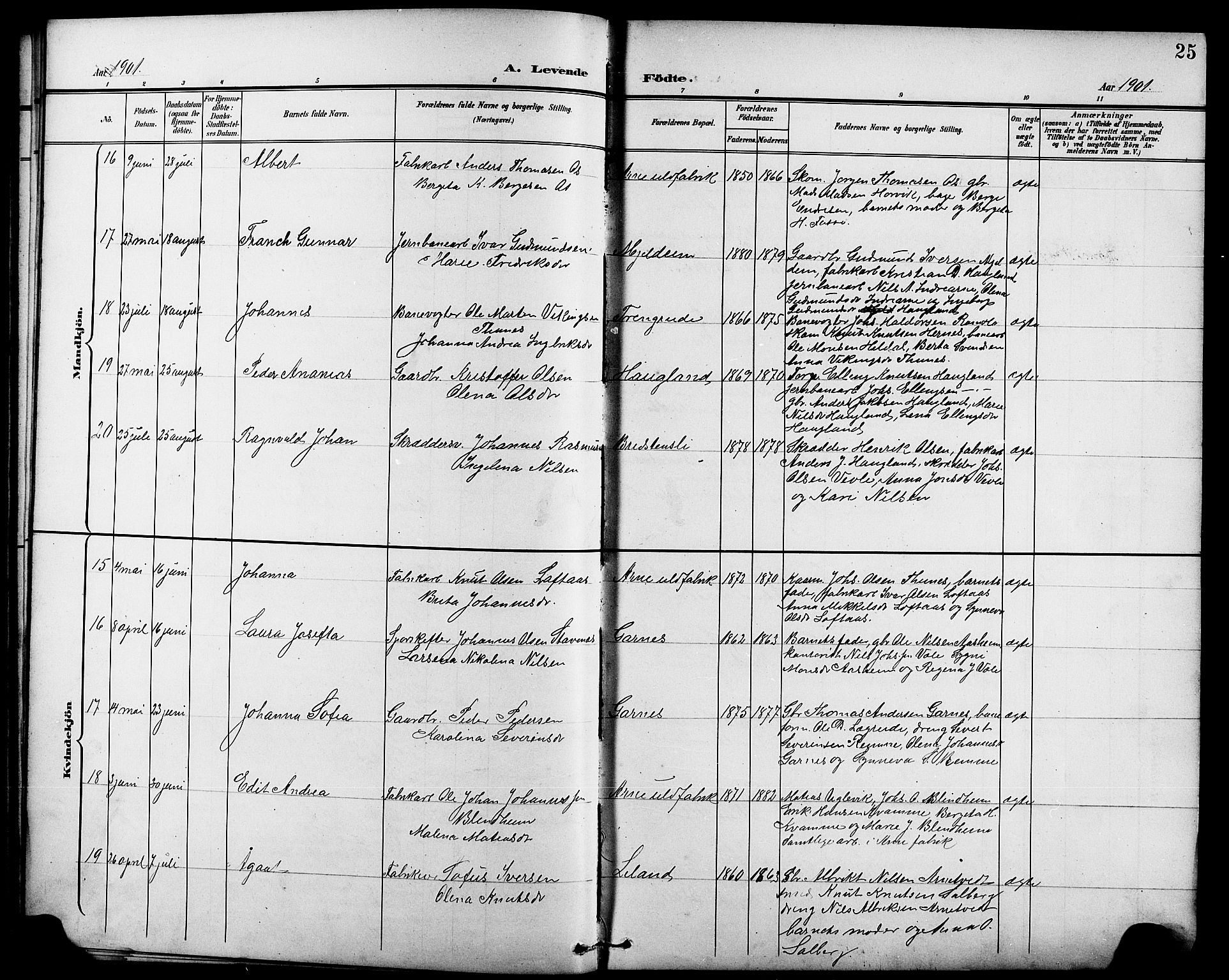 Arna sokneprestembete, AV/SAB-A-74001/H/Ha/Hab: Klokkerbok nr. A 4, 1898-1910, s. 25