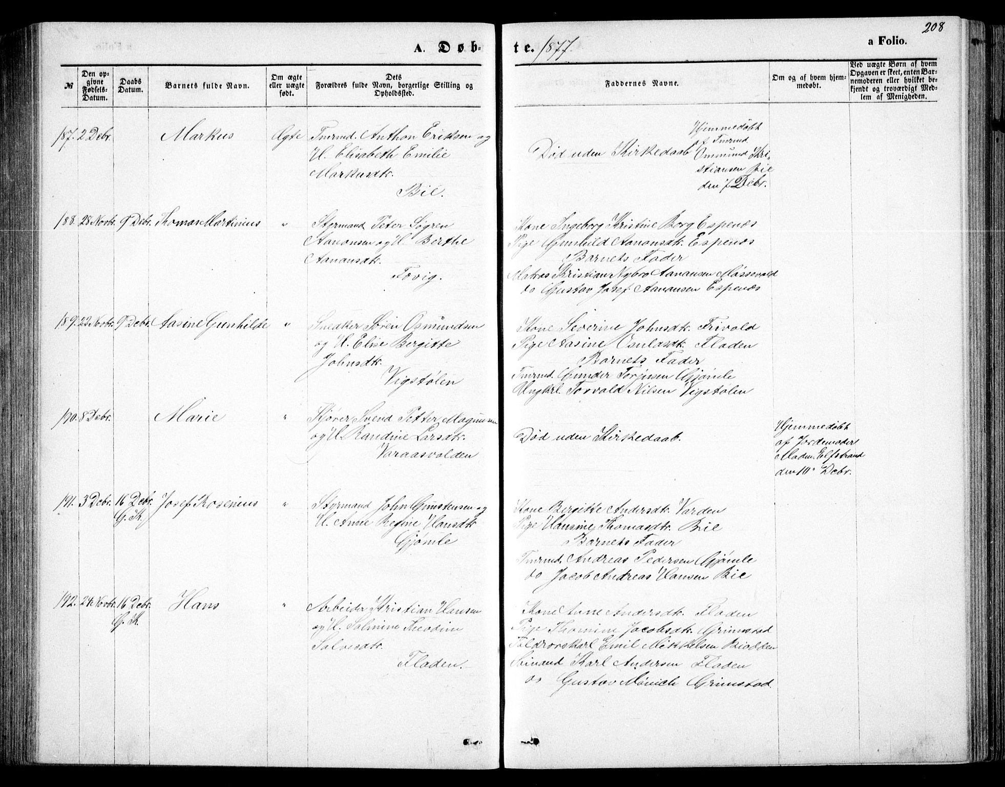 Fjære sokneprestkontor, SAK/1111-0011/F/Fb/L0010: Klokkerbok nr. B 10, 1871-1880, s. 208