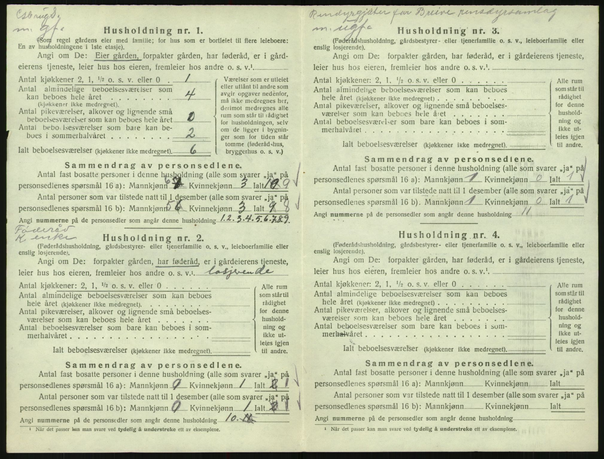 SAK, Folketelling 1920 for 0941 Bykle herred, 1920, s. 202