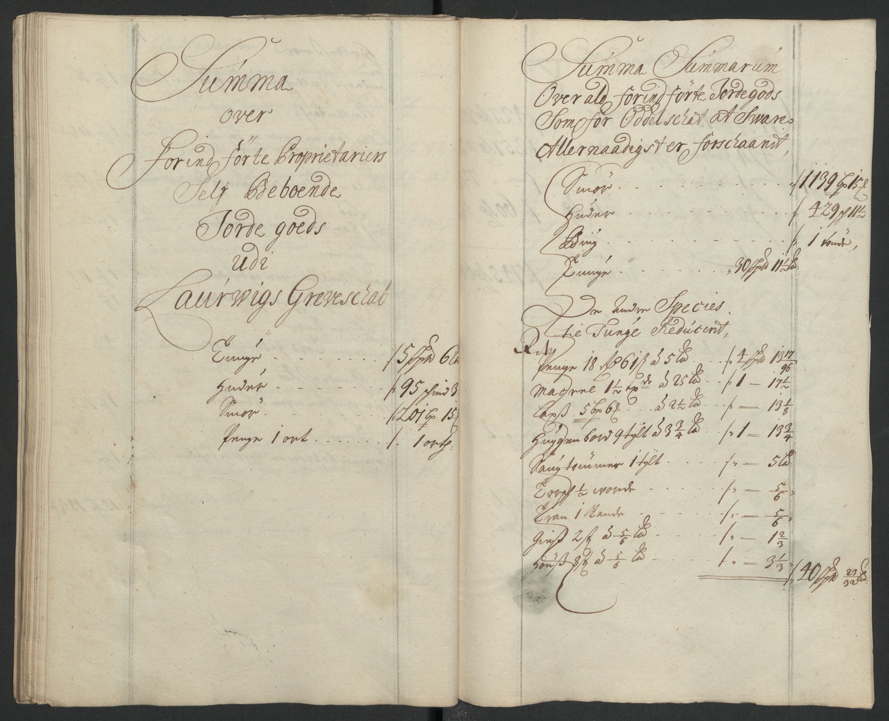 Rentekammeret inntil 1814, Reviderte regnskaper, Fogderegnskap, RA/EA-4092/R33/L1978: Fogderegnskap Larvik grevskap, 1704-1705, s. 198