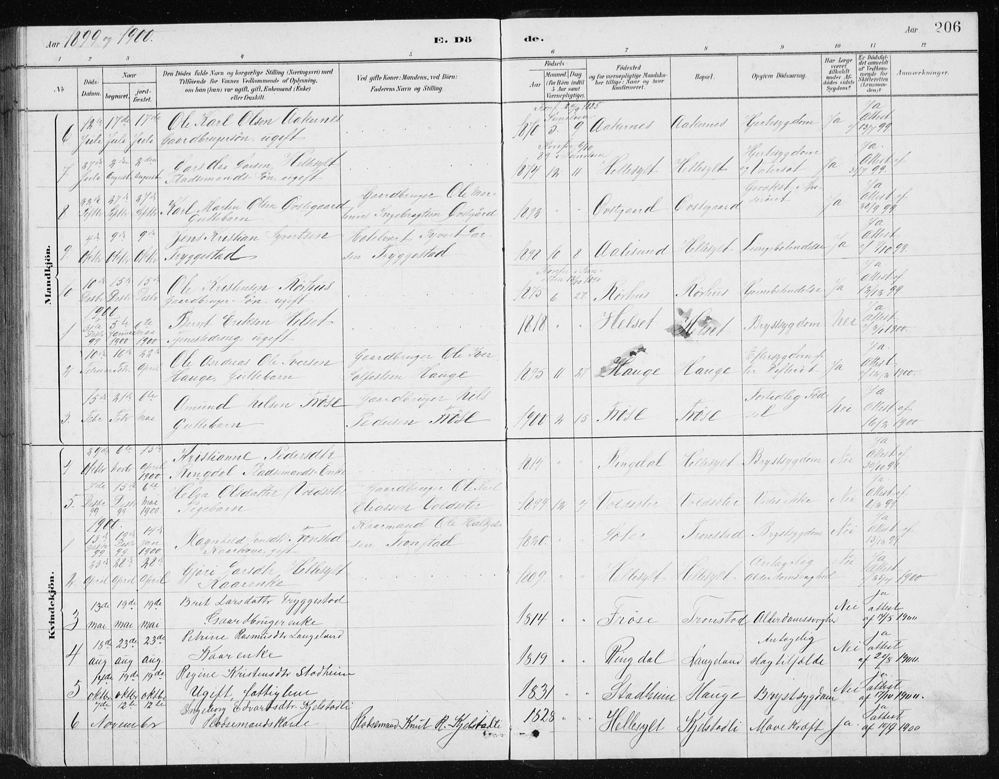 Ministerialprotokoller, klokkerbøker og fødselsregistre - Møre og Romsdal, SAT/A-1454/517/L0230: Klokkerbok nr. 517C03, 1879-1912, s. 206