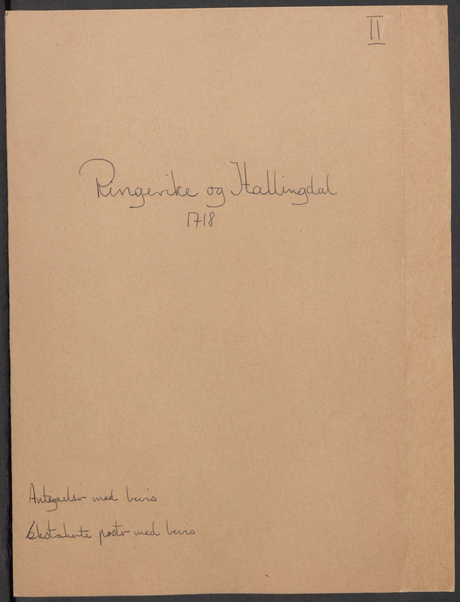 Rentekammeret inntil 1814, Reviderte regnskaper, Fogderegnskap, RA/EA-4092/R23/L1476: Fogderegnskap Ringerike og Hallingdal, 1718, s. 304