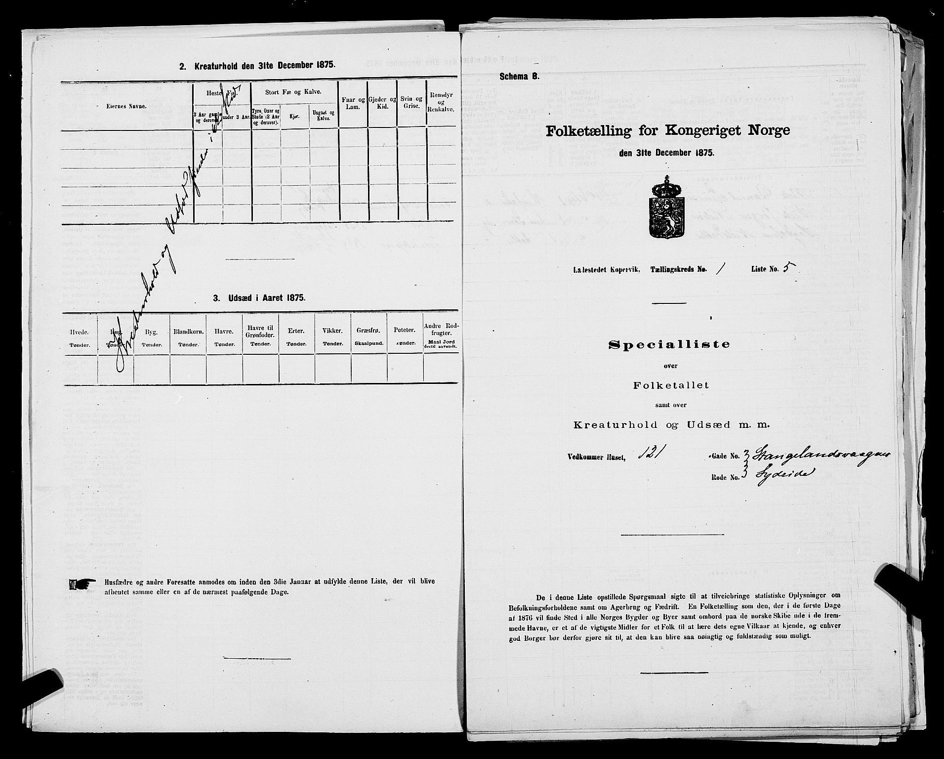 SAST, Folketelling 1875 for 1105B Avaldsnes prestegjeld, Kopervik ladested, 1875, s. 10