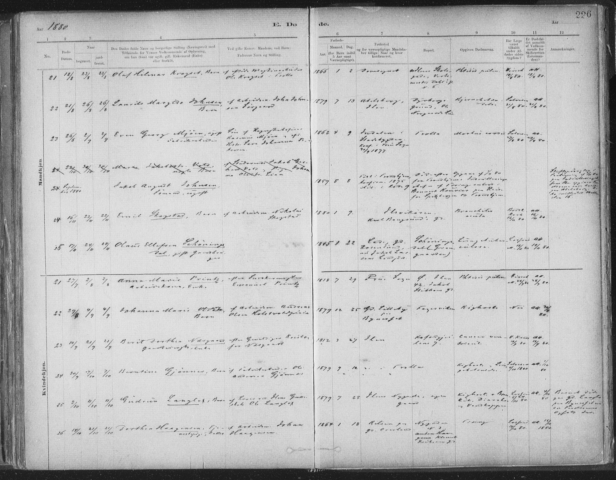 Ministerialprotokoller, klokkerbøker og fødselsregistre - Sør-Trøndelag, AV/SAT-A-1456/603/L0162: Ministerialbok nr. 603A01, 1879-1895, s. 226