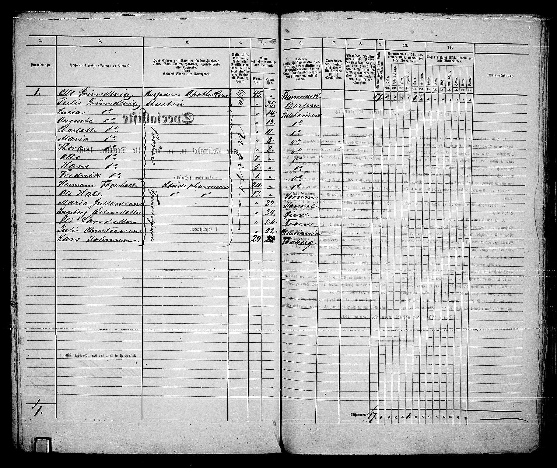 RA, Folketelling 1865 for 0501B Fåberg prestegjeld, Lillehammer kjøpstad, 1865, s. 205