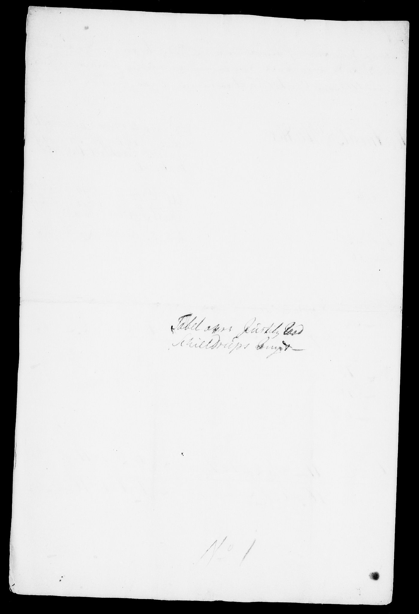 Danske Kanselli, Skapsaker, AV/RA-EA-4061/F/L0001: Skap 8, pakke 19-45, 1617-1737, s. 6