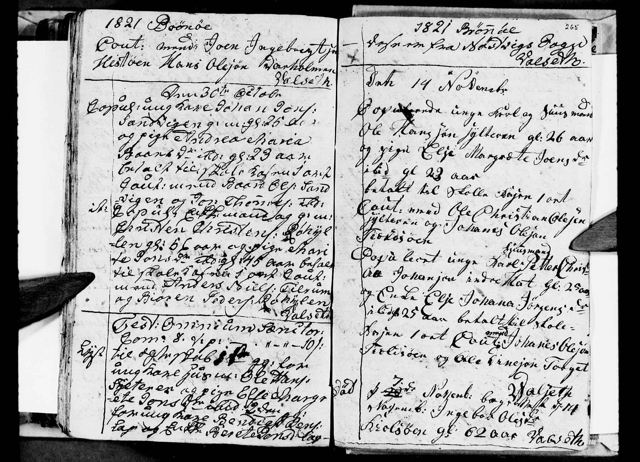 Ministerialprotokoller, klokkerbøker og fødselsregistre - Nordland, AV/SAT-A-1459/813/L0209: Klokkerbok nr. 813C01, 1803-1821, s. 265