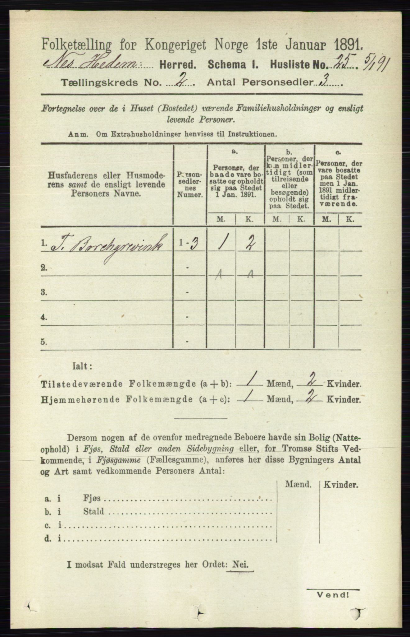 RA, Folketelling 1891 for 0411 Nes herred, 1891, s. 1029