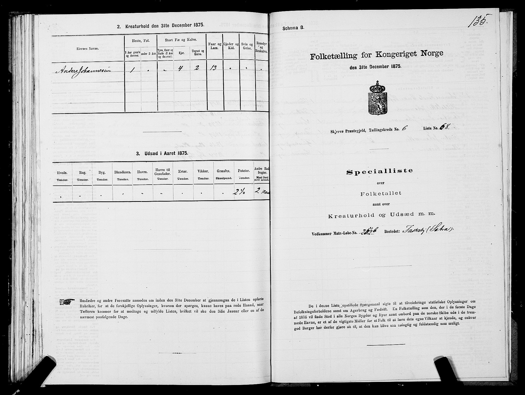 SATØ, Folketelling 1875 for 1941P Skjervøy prestegjeld, 1875, s. 5135