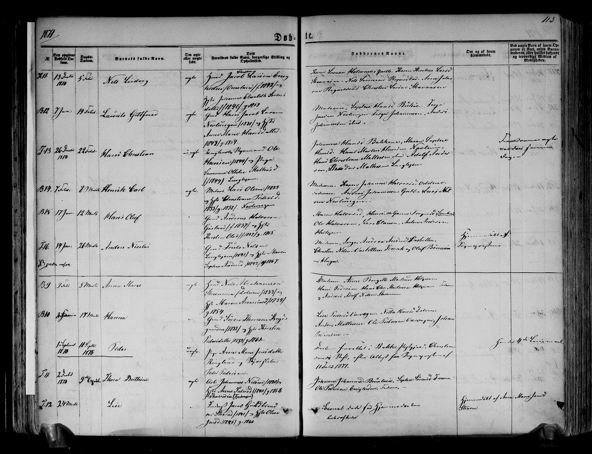 Brunlanes kirkebøker, AV/SAKO-A-342/F/Fa/L0005: Ministerialbok nr. I 5, 1862-1877, s. 113