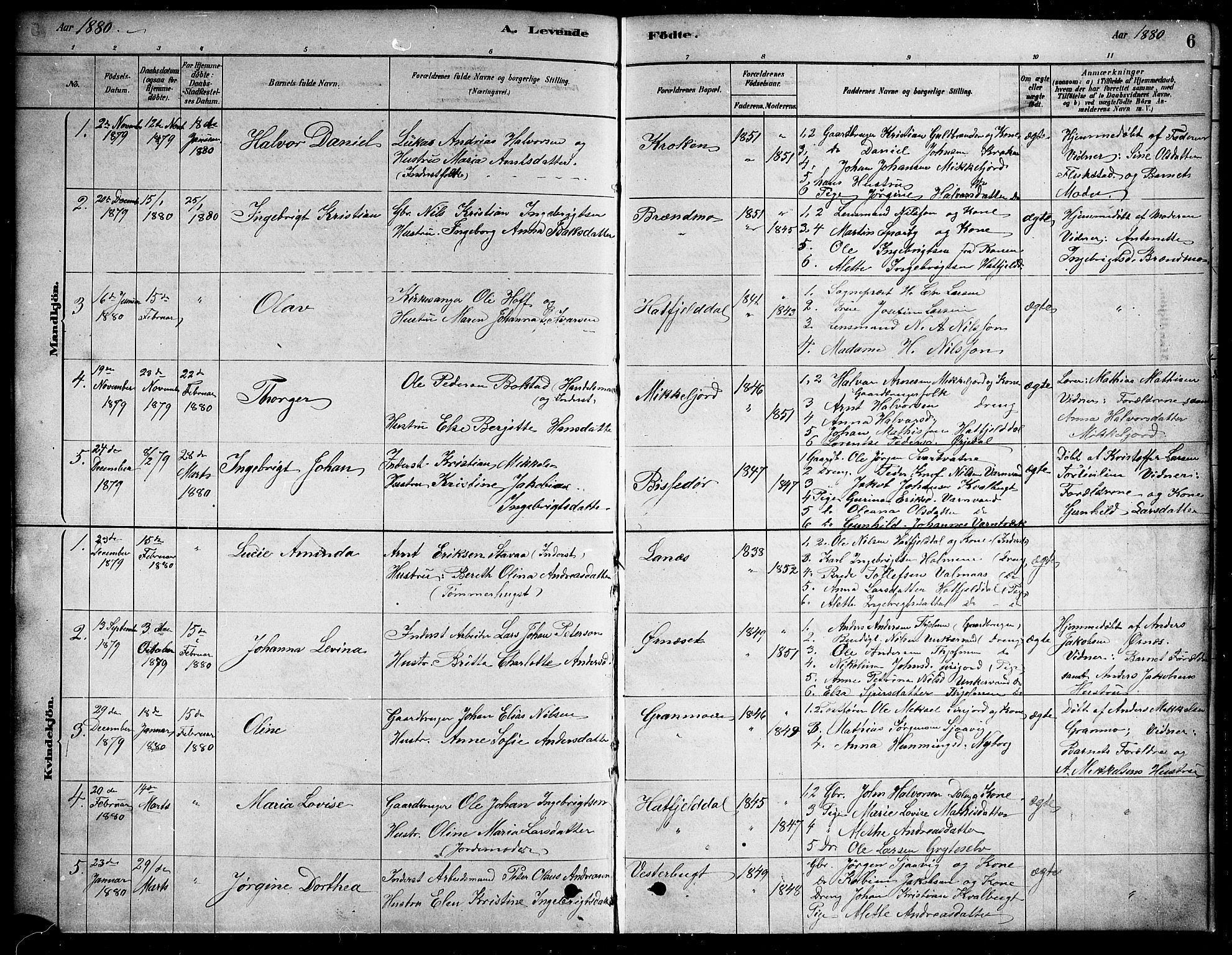 Ministerialprotokoller, klokkerbøker og fødselsregistre - Nordland, AV/SAT-A-1459/823/L0330: Klokkerbok nr. 823C02, 1879-1916, s. 6