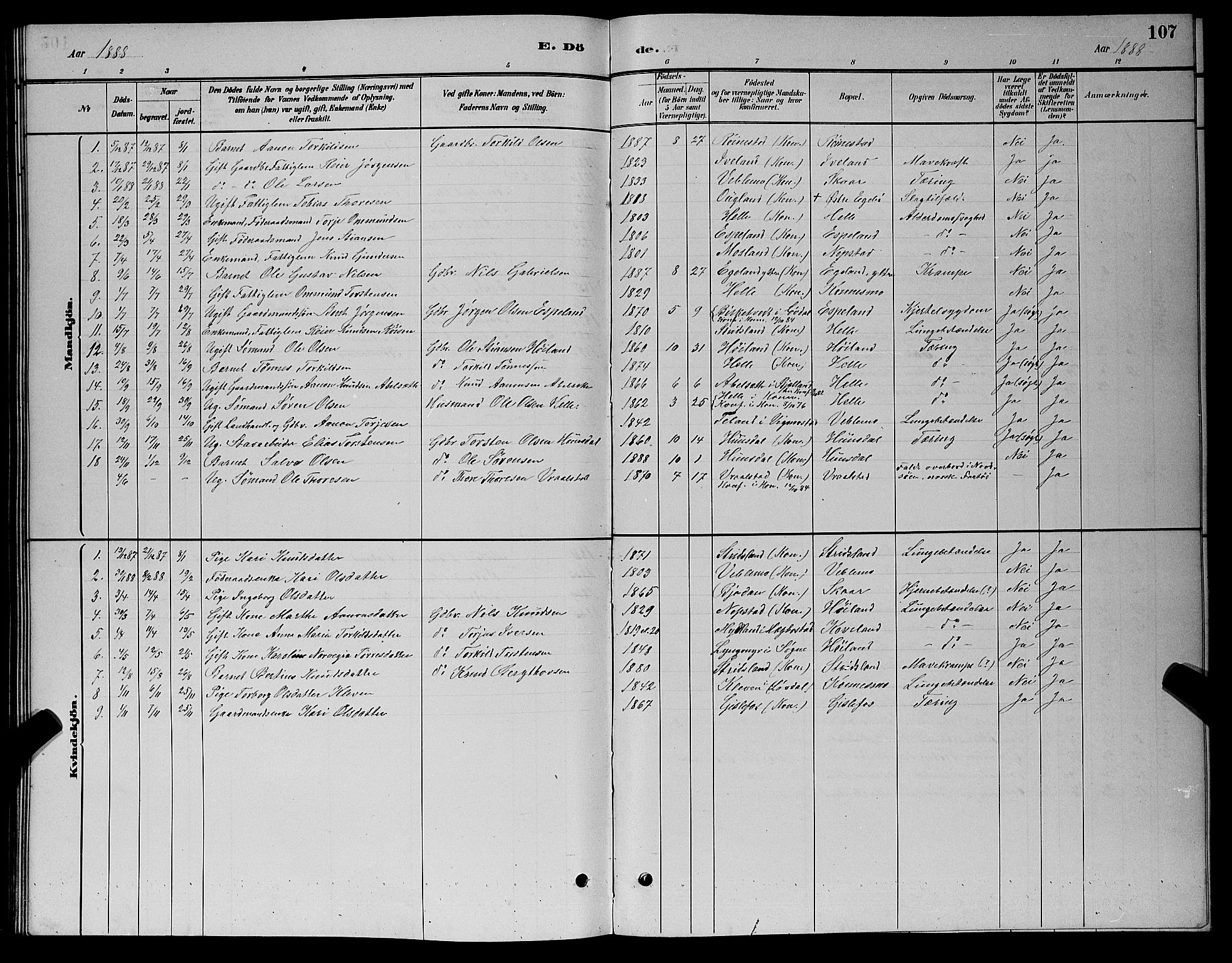 Nord-Audnedal sokneprestkontor, SAK/1111-0032/F/Fb/Fba/L0003: Klokkerbok nr. B 3, 1881-1900, s. 107