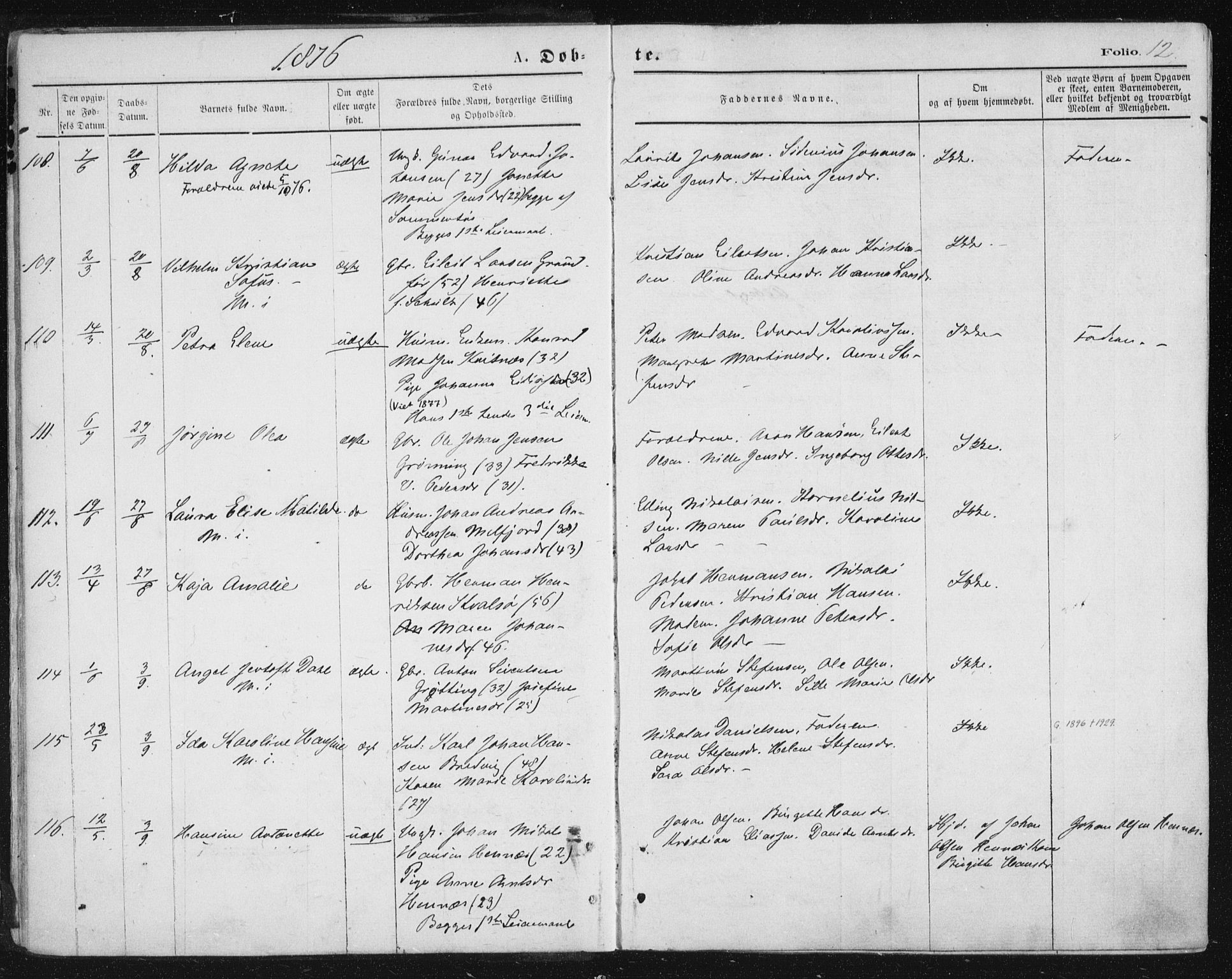 Ministerialprotokoller, klokkerbøker og fødselsregistre - Nordland, AV/SAT-A-1459/888/L1243: Ministerialbok nr. 888A09, 1876-1879, s. 12