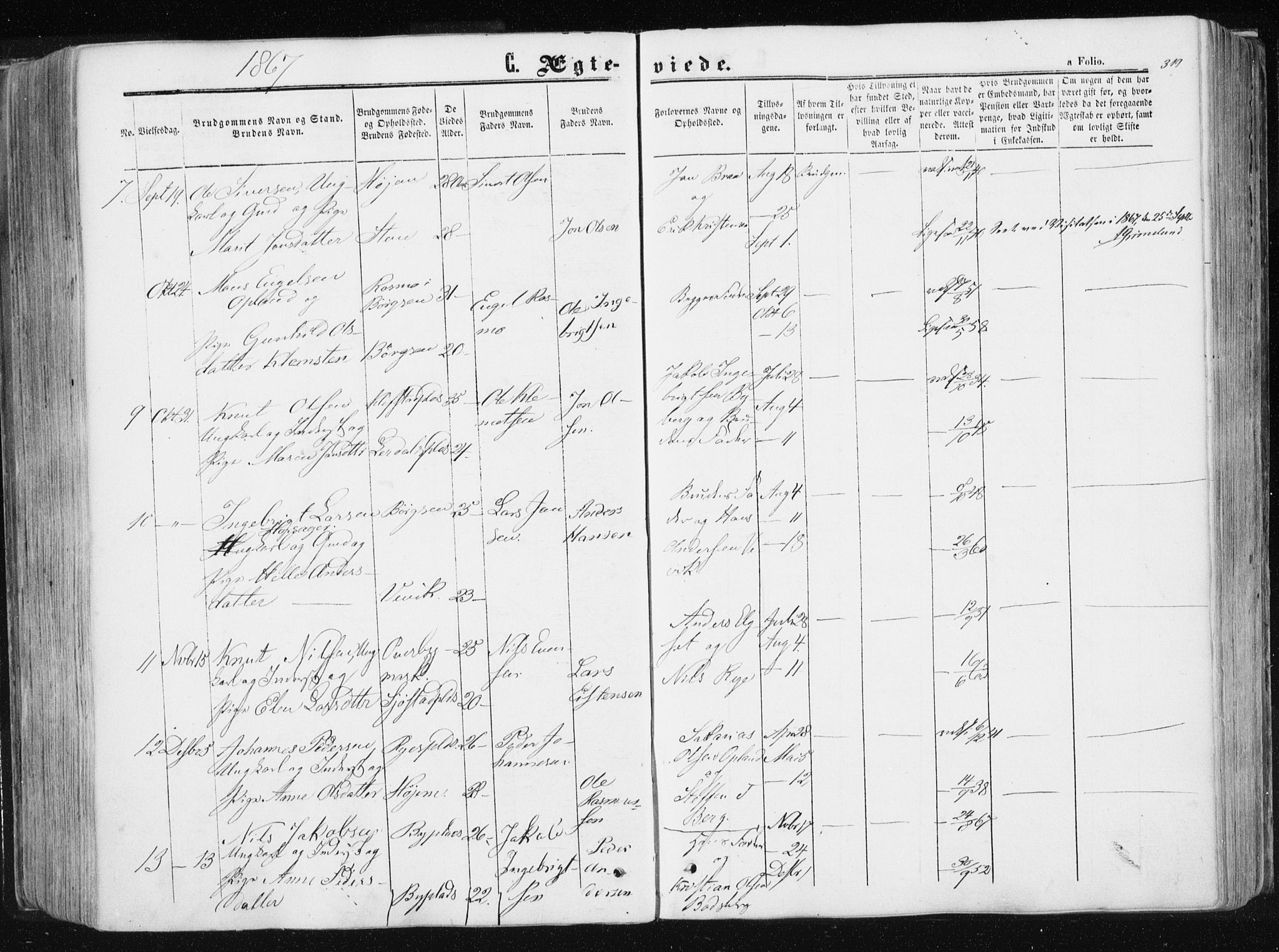 Ministerialprotokoller, klokkerbøker og fødselsregistre - Sør-Trøndelag, AV/SAT-A-1456/612/L0377: Ministerialbok nr. 612A09, 1859-1877, s. 319