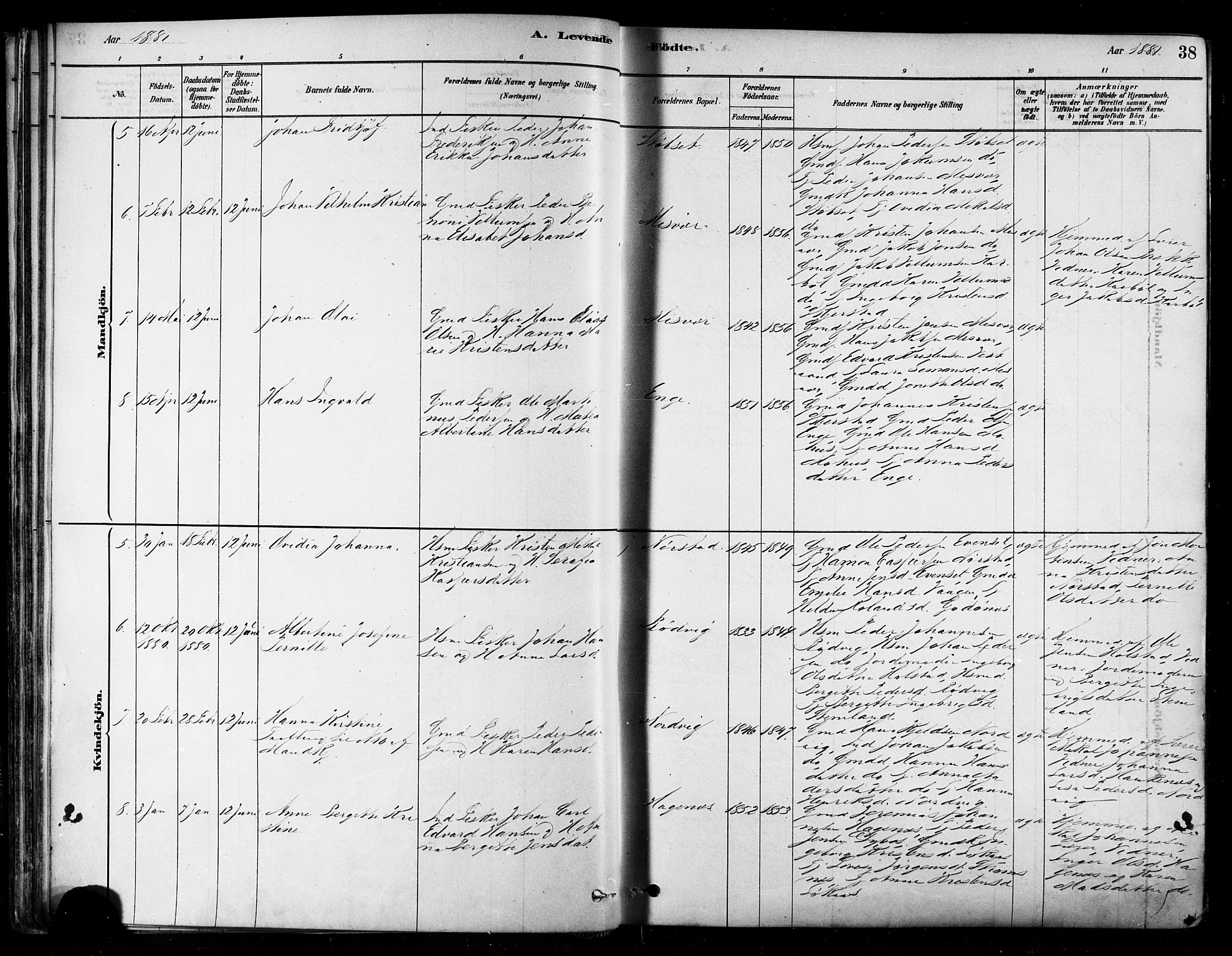 Ministerialprotokoller, klokkerbøker og fødselsregistre - Nordland, SAT/A-1459/852/L0740: Ministerialbok nr. 852A10, 1878-1894, s. 38