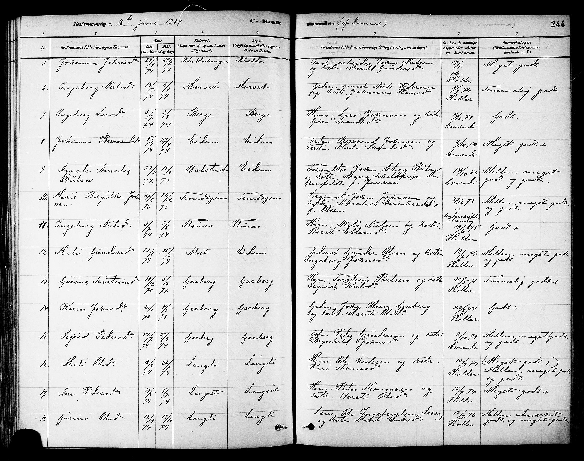 Ministerialprotokoller, klokkerbøker og fødselsregistre - Sør-Trøndelag, AV/SAT-A-1456/695/L1148: Ministerialbok nr. 695A08, 1878-1891, s. 244