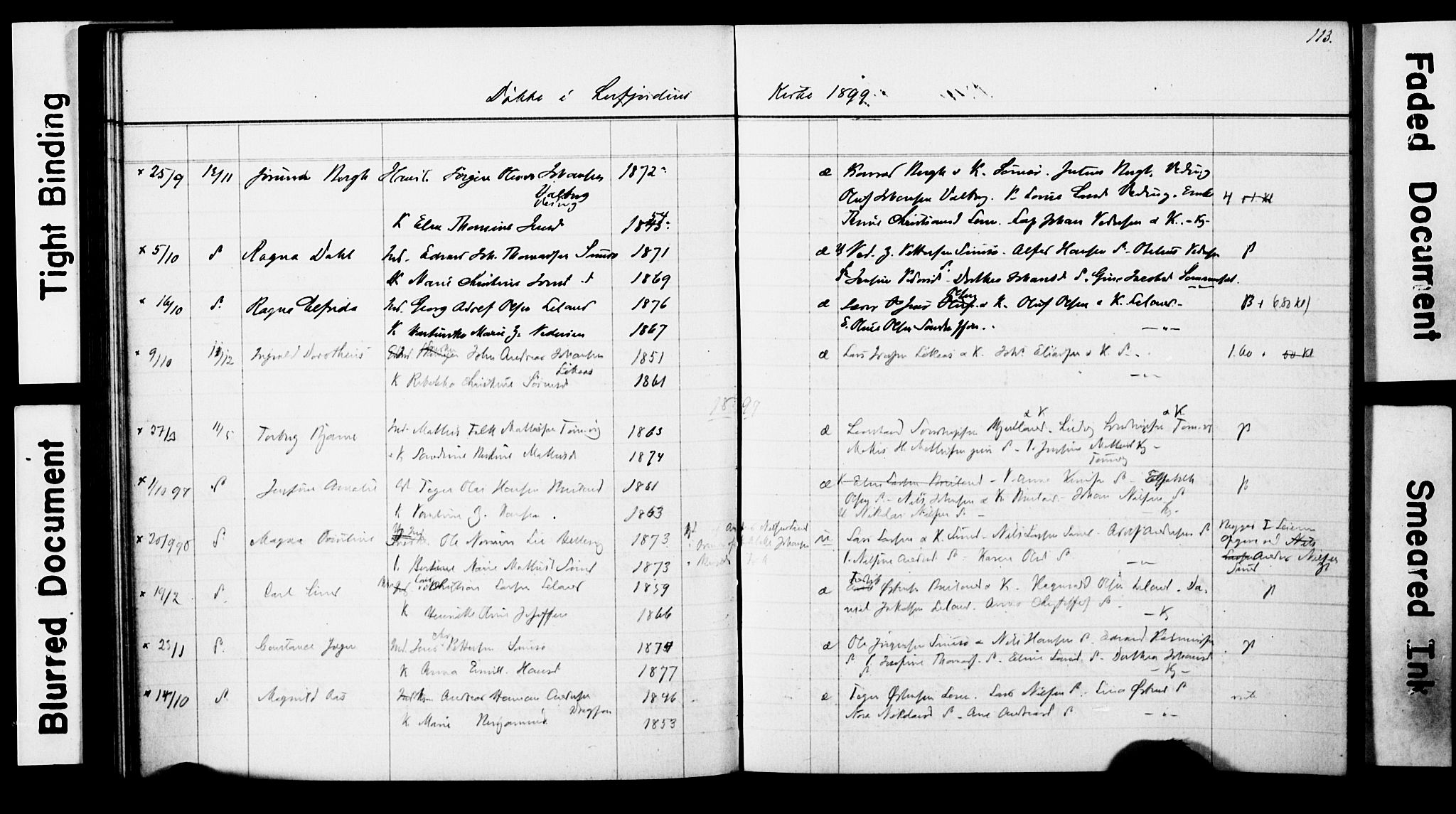 Ministerialprotokoller, klokkerbøker og fødselsregistre - Nordland, AV/SAT-A-1459/830/L0465: Klokkerbok nr. 830C07, 1891-1905, s. 113
