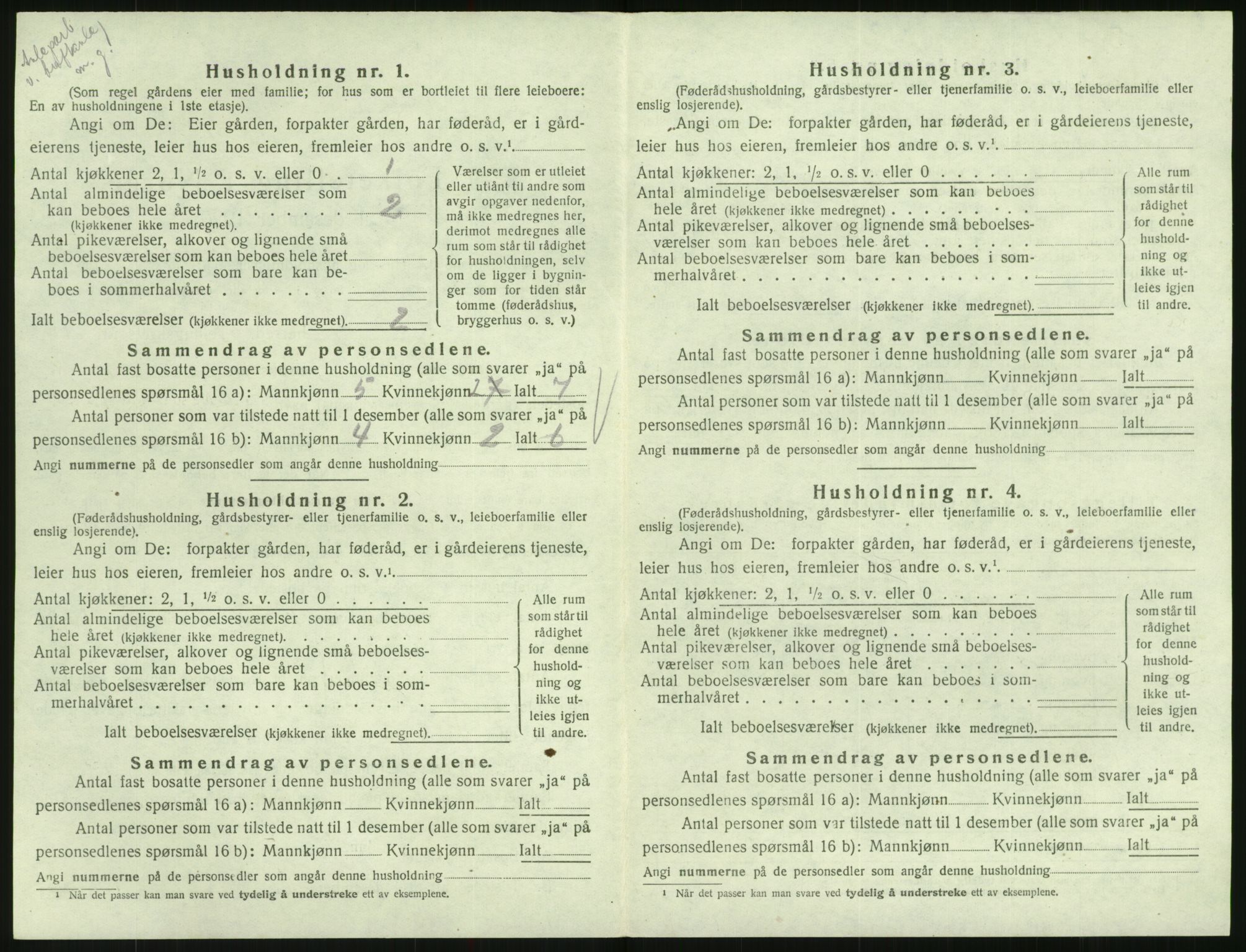 SAK, Folketelling 1920 for 0936 Hornnes herred, 1920, s. 424