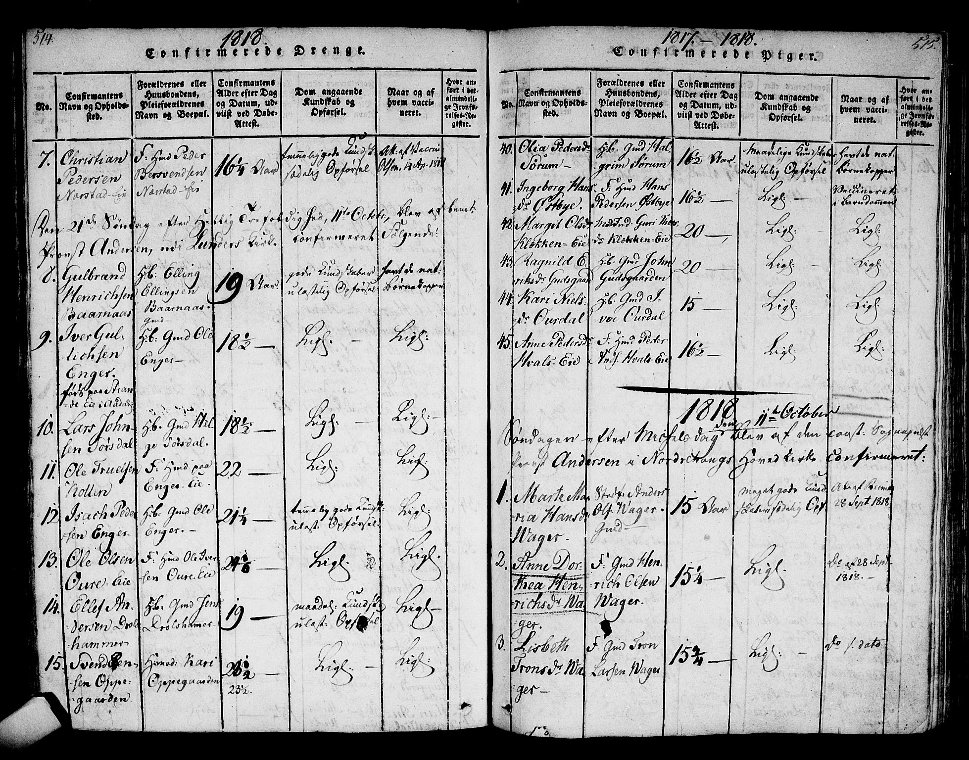 Norderhov kirkebøker, AV/SAKO-A-237/F/Fa/L0008: Ministerialbok nr. 8, 1814-1833, s. 514-515