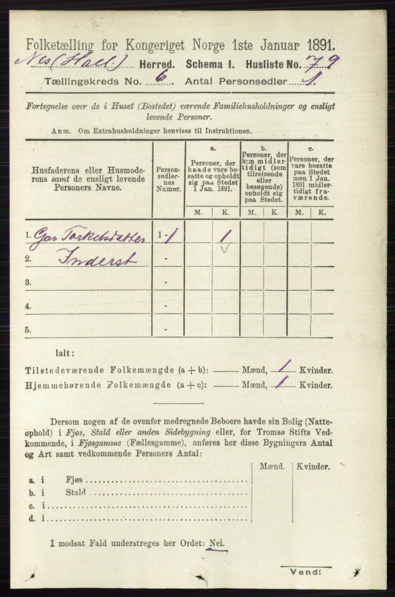 RA, Folketelling 1891 for 0616 Nes herred, 1891, s. 3033