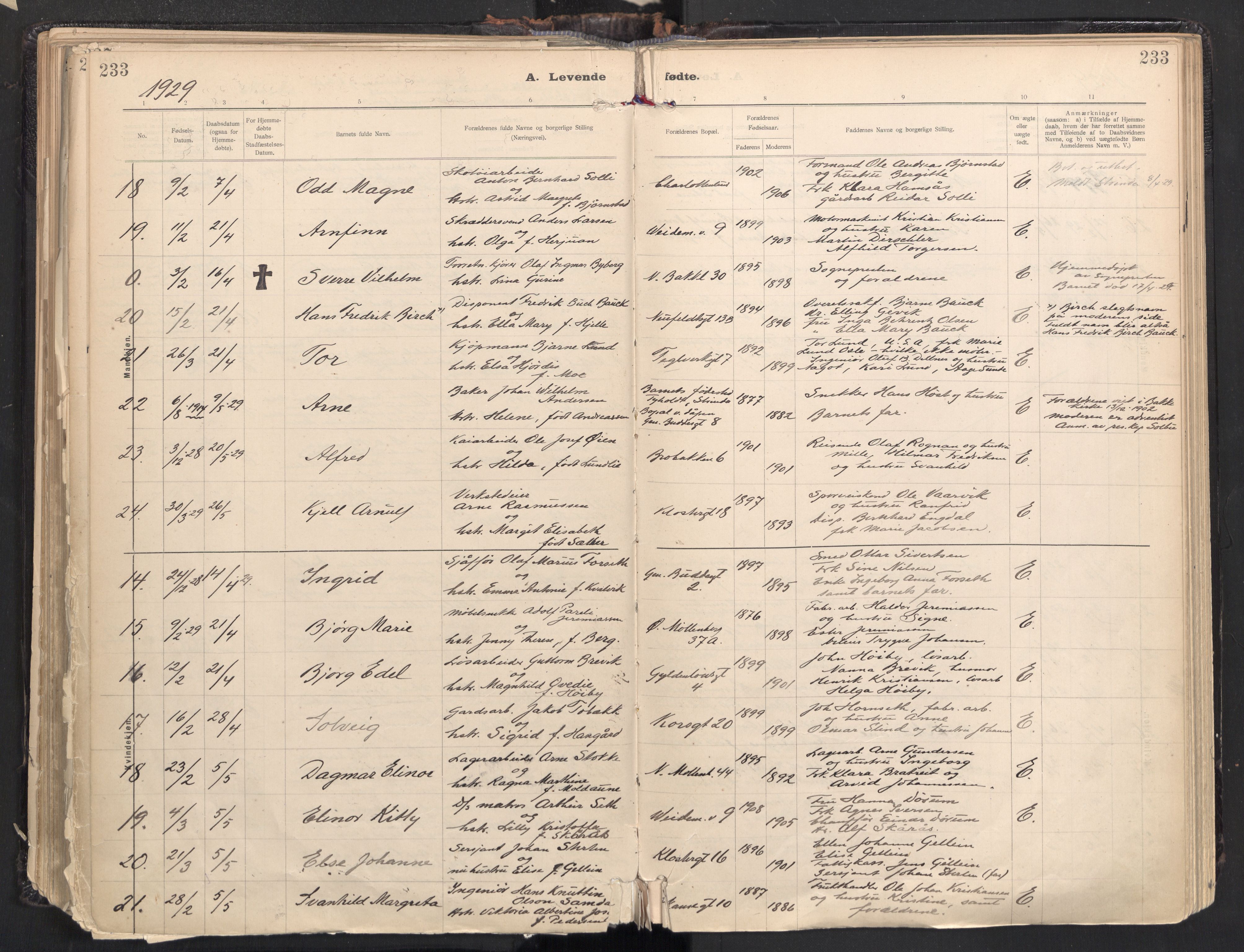Ministerialprotokoller, klokkerbøker og fødselsregistre - Sør-Trøndelag, AV/SAT-A-1456/604/L0205: Ministerialbok nr. 604A25, 1917-1932, s. 233
