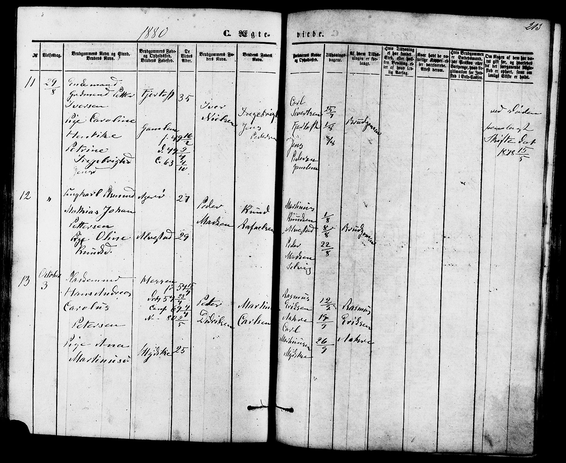Ministerialprotokoller, klokkerbøker og fødselsregistre - Møre og Romsdal, AV/SAT-A-1454/536/L0500: Ministerialbok nr. 536A09, 1876-1889, s. 213