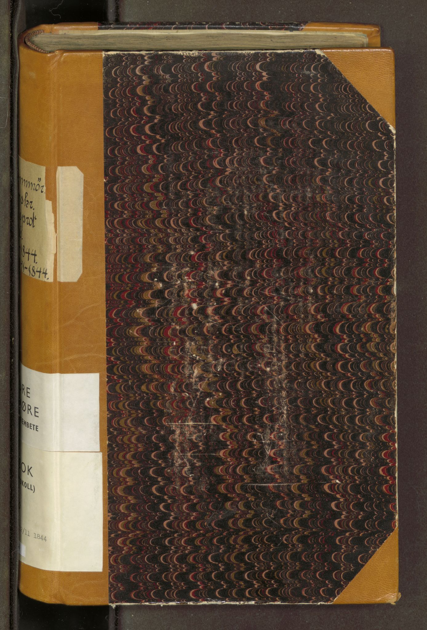 Nordre Sunnmøre sorenskriveri, AV/SAT-A-0006/1/1/1A/L0008: Tingbok 6B, 1841-1844