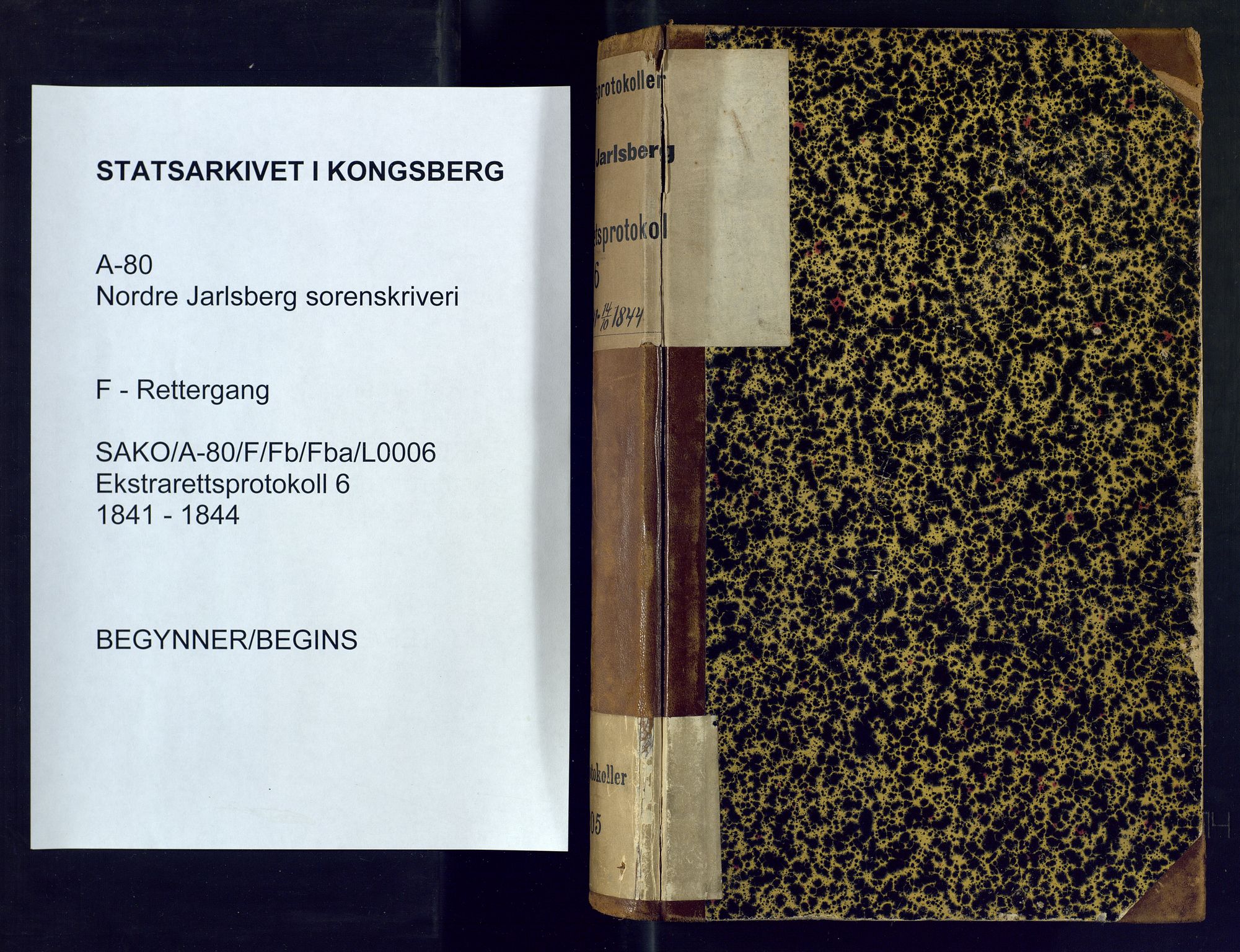 Nordre Jarlsberg sorenskriveri, AV/SAKO-A-80/F/Fb/Fba/L0006: Ekstrarettsprotokoll, 1841-1844