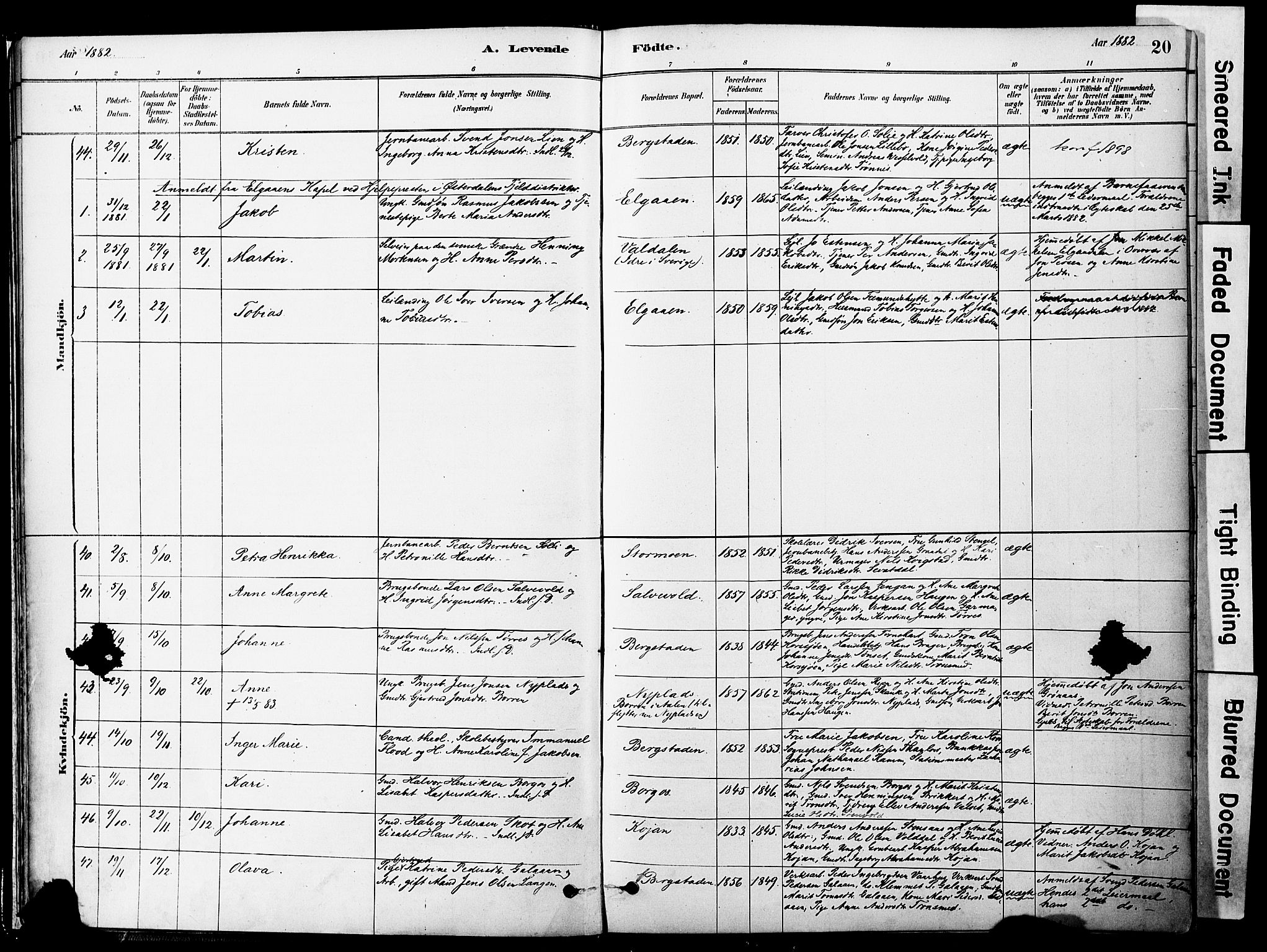 Ministerialprotokoller, klokkerbøker og fødselsregistre - Sør-Trøndelag, SAT/A-1456/681/L0933: Ministerialbok nr. 681A11, 1879-1890, s. 20