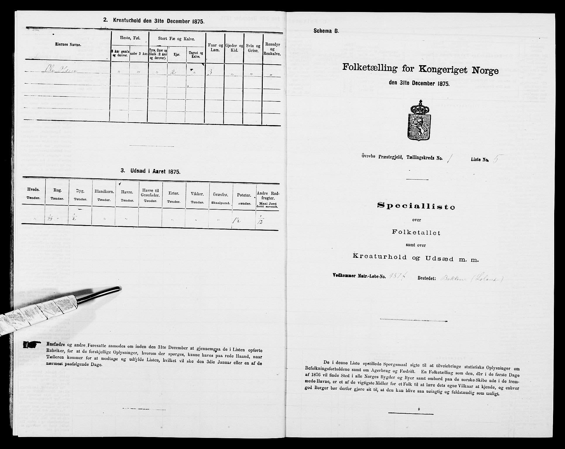 SAK, Folketelling 1875 for 1016P Øvrebø prestegjeld, 1875, s. 41