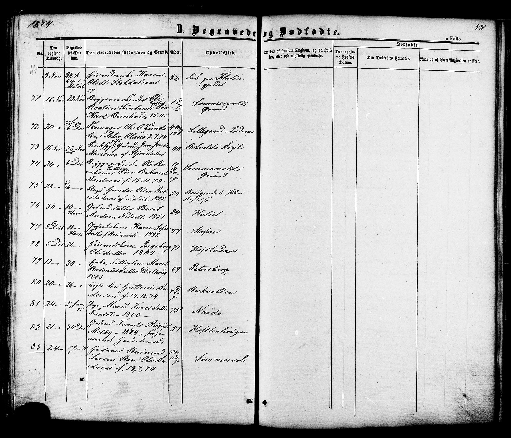 Ministerialprotokoller, klokkerbøker og fødselsregistre - Sør-Trøndelag, SAT/A-1456/606/L0293: Ministerialbok nr. 606A08, 1866-1877, s. 431