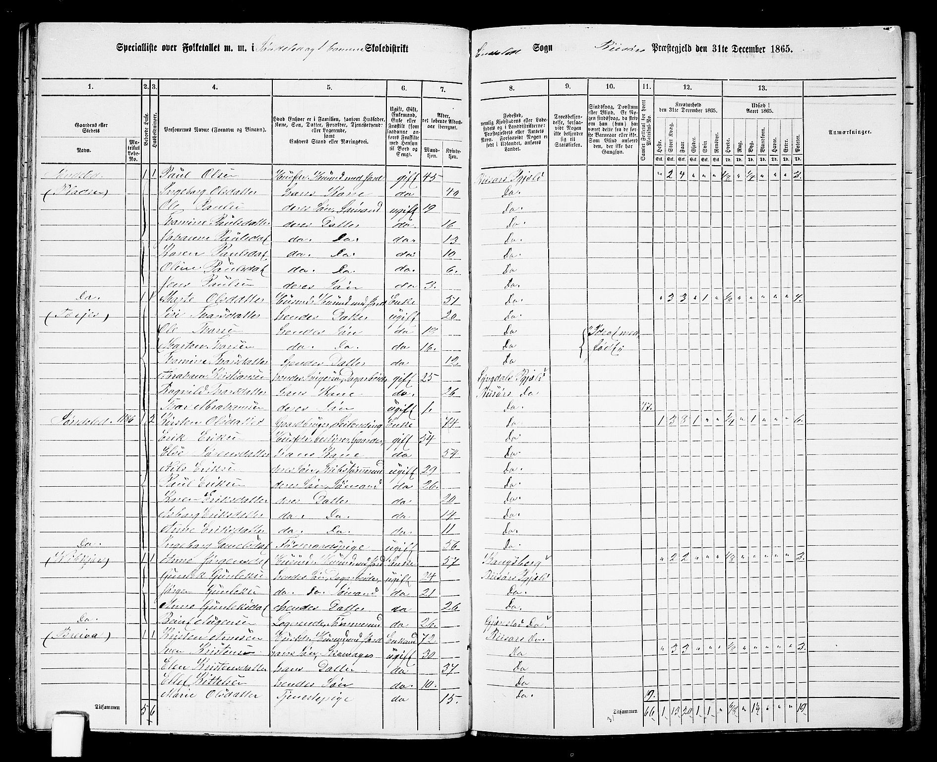 RA, Folketelling 1865 for 0913L Risør prestegjeld, Søndeled sokn, 1865, s. 50