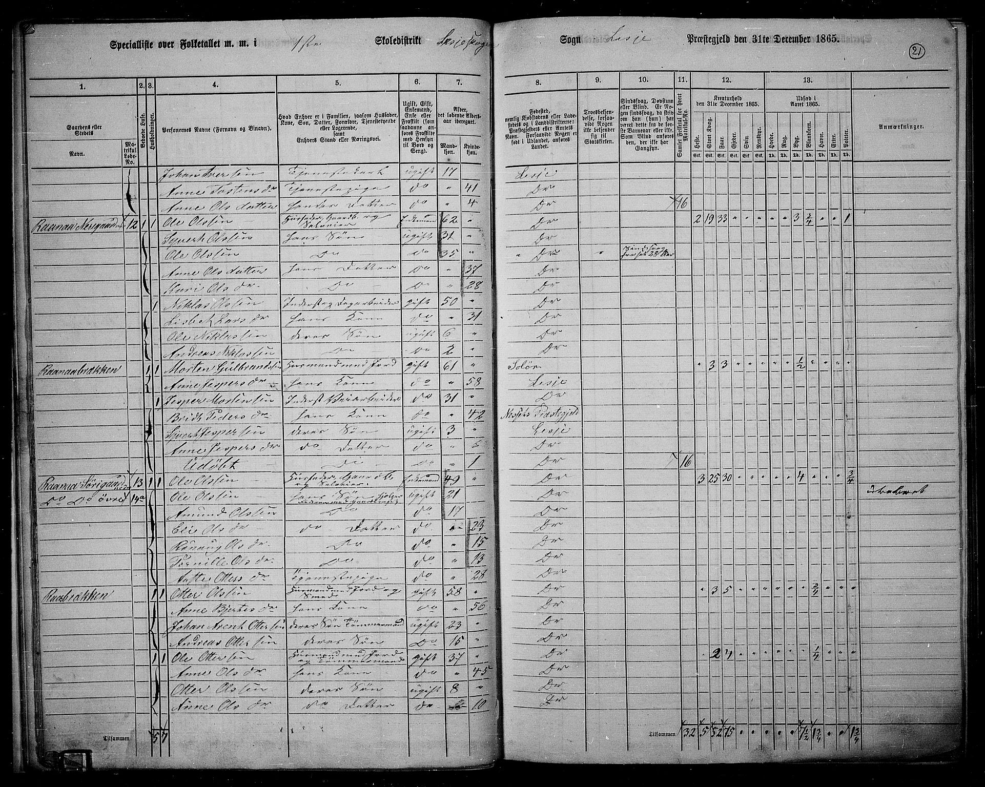 RA, Folketelling 1865 for 0512P Lesja prestegjeld, 1865, s. 22