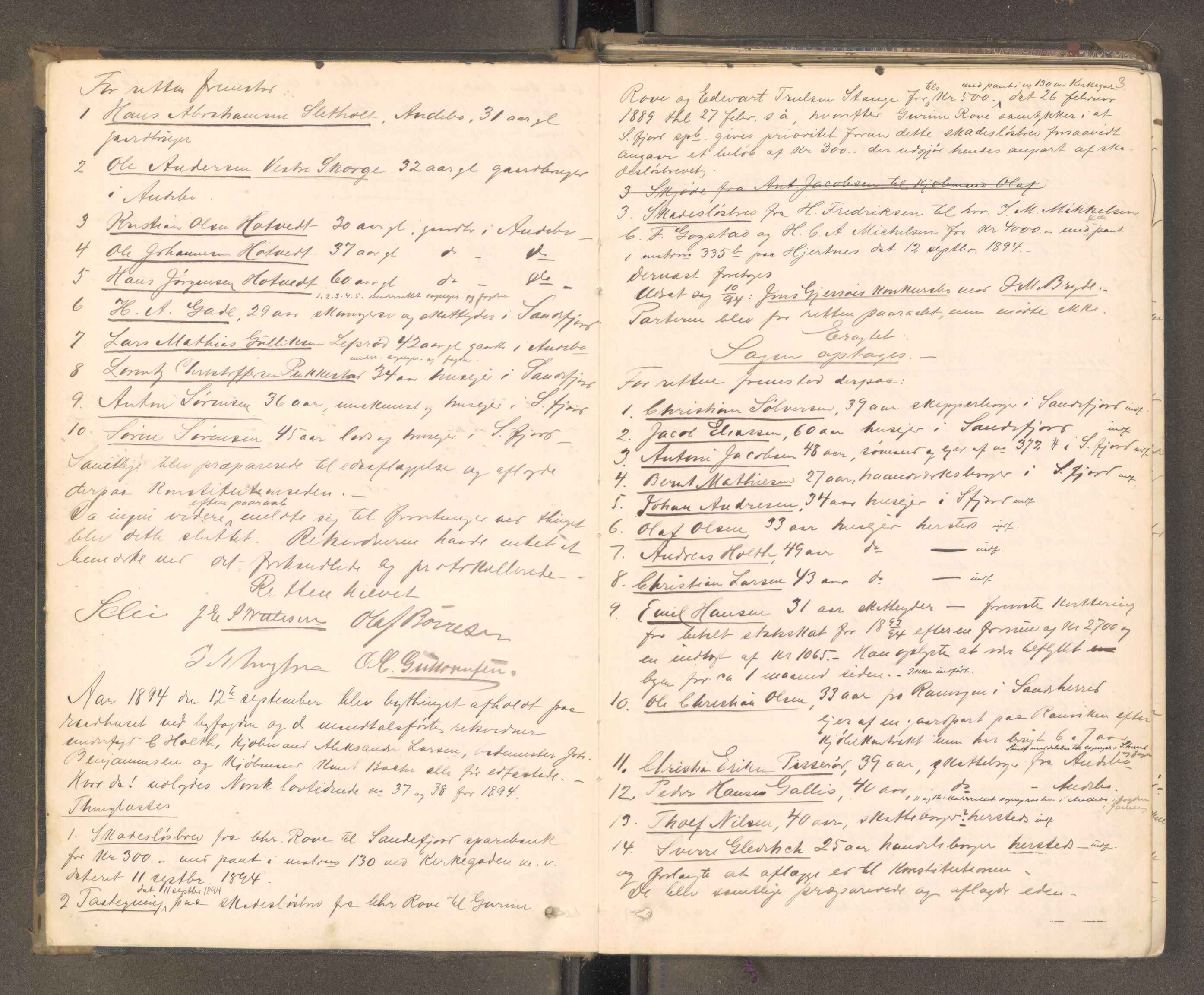 Sandefjord byfogd - 1, AV/SAKO-A-122/F/Fa/L0003: Tingbok, 1894-1899, s. 2b-3a