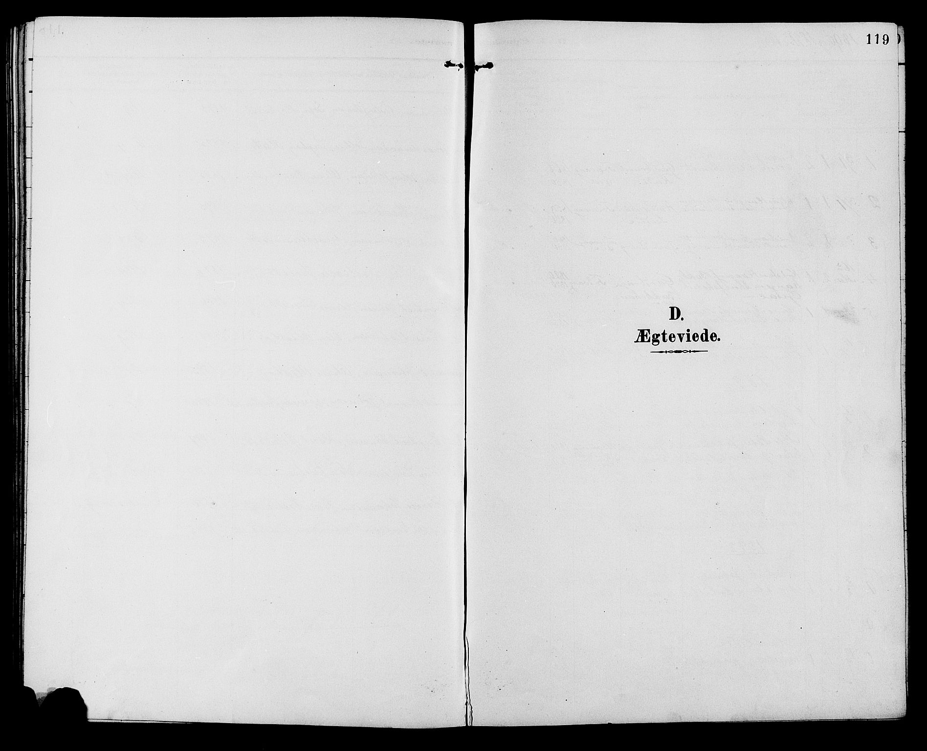 Ringebu prestekontor, SAH/PREST-082/H/Ha/Hab/L0007: Klokkerbok nr. 7, 1890-1910, s. 119