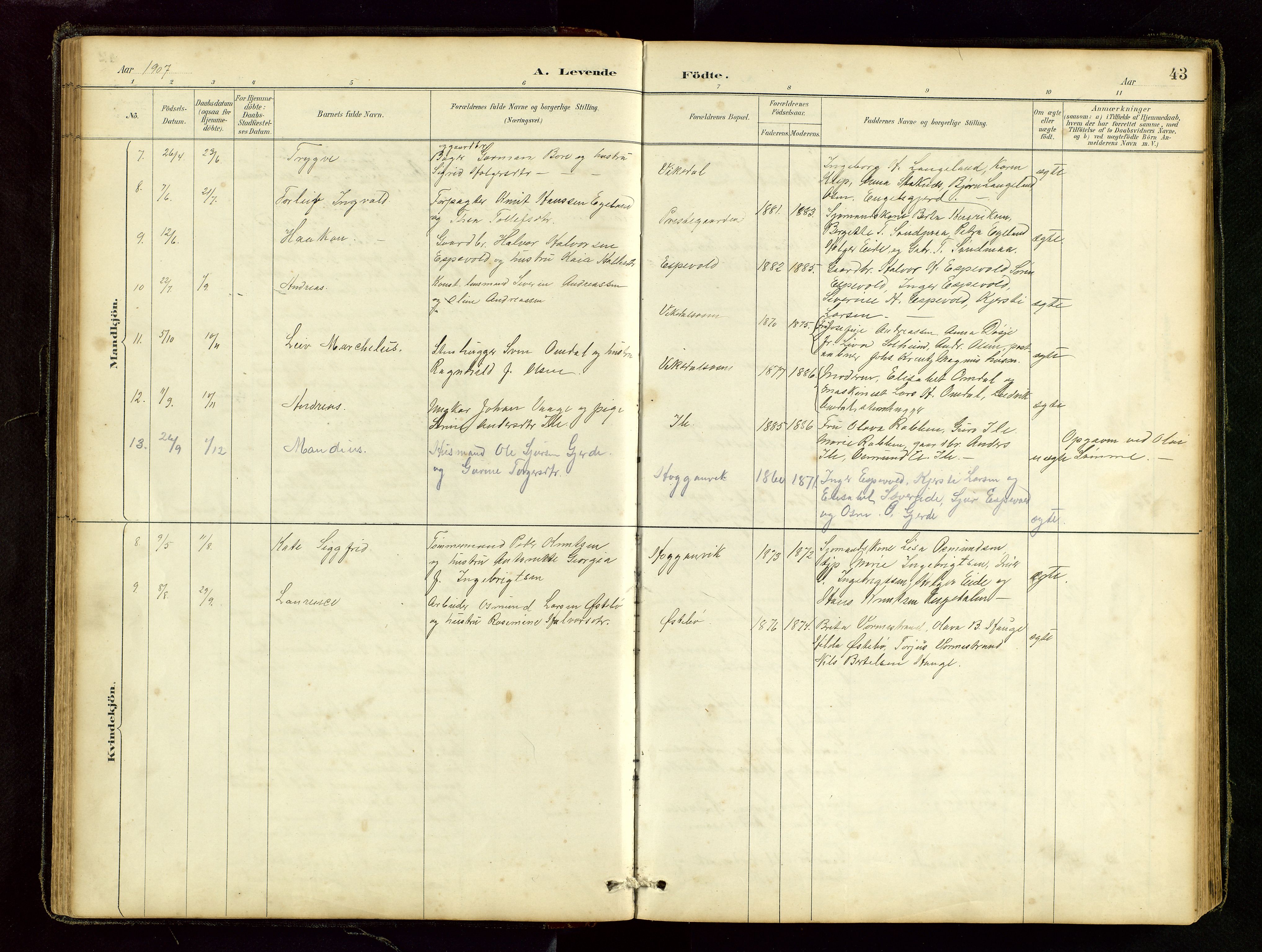 Vikedal sokneprestkontor, AV/SAST-A-101840/01/V: Klokkerbok nr. B 6, 1889-1956, s. 43