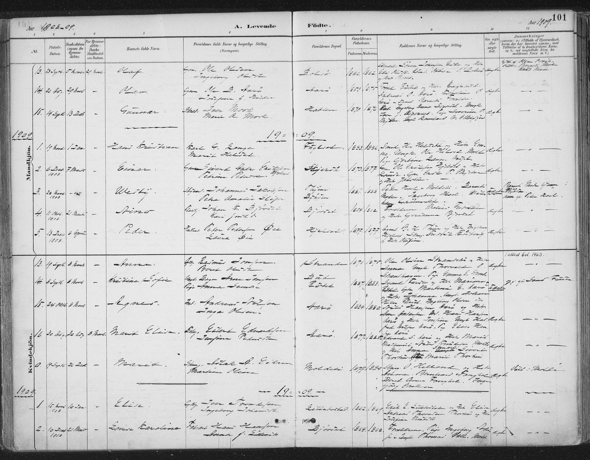 Ministerialprotokoller, klokkerbøker og fødselsregistre - Møre og Romsdal, AV/SAT-A-1454/555/L0658: Ministerialbok nr. 555A09, 1887-1917, s. 101