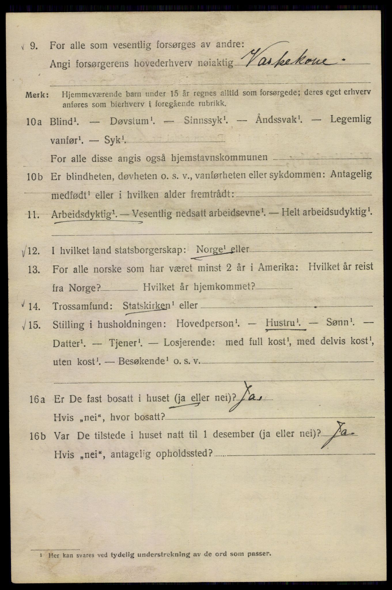 SAO, Folketelling 1920 for 0301 Kristiania kjøpstad, 1920, s. 228958